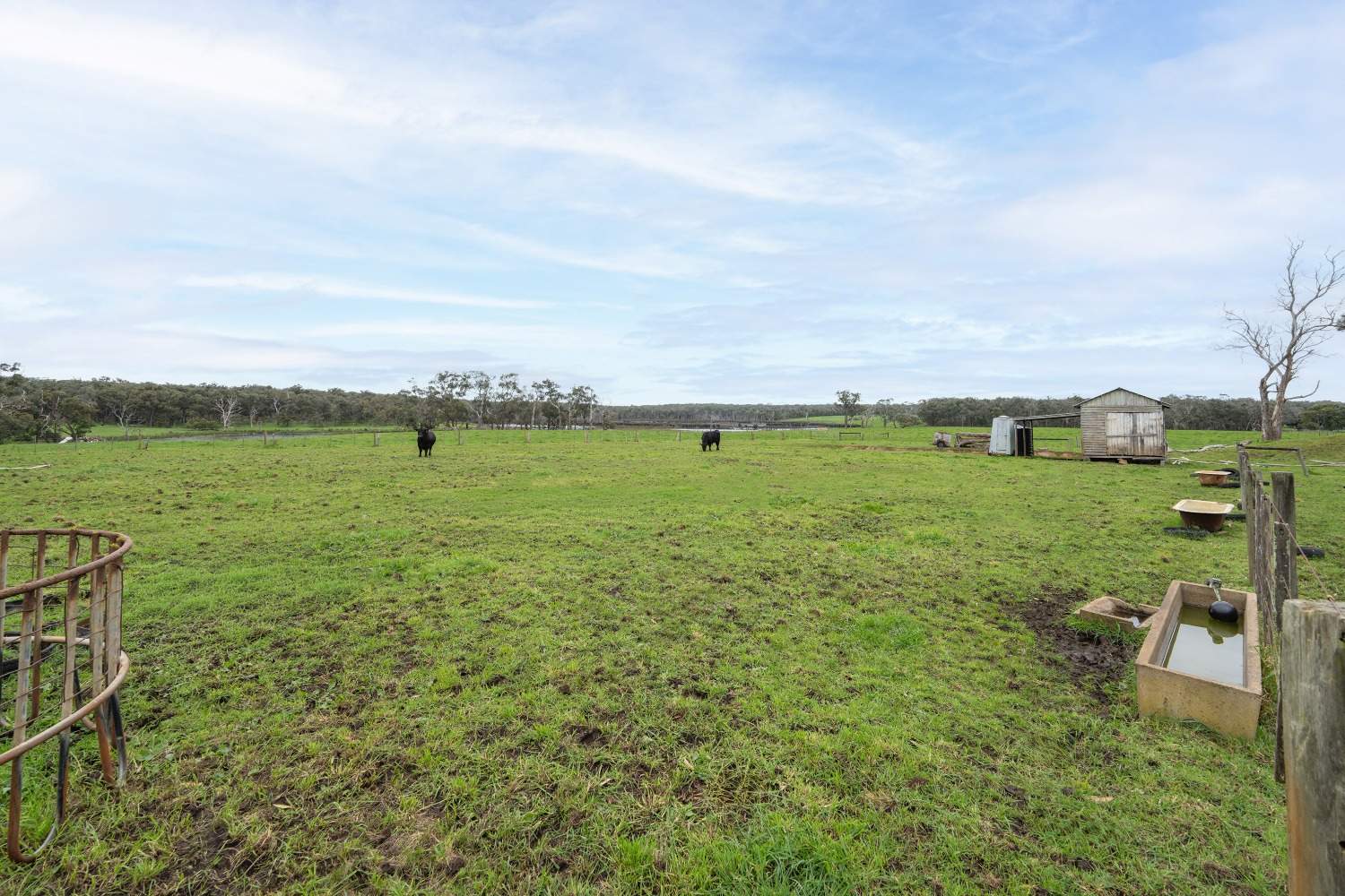 LOT 1 & 2 LP75465 Mt Clay Road, Heywood For Sale by Farmbuy.com - image 9