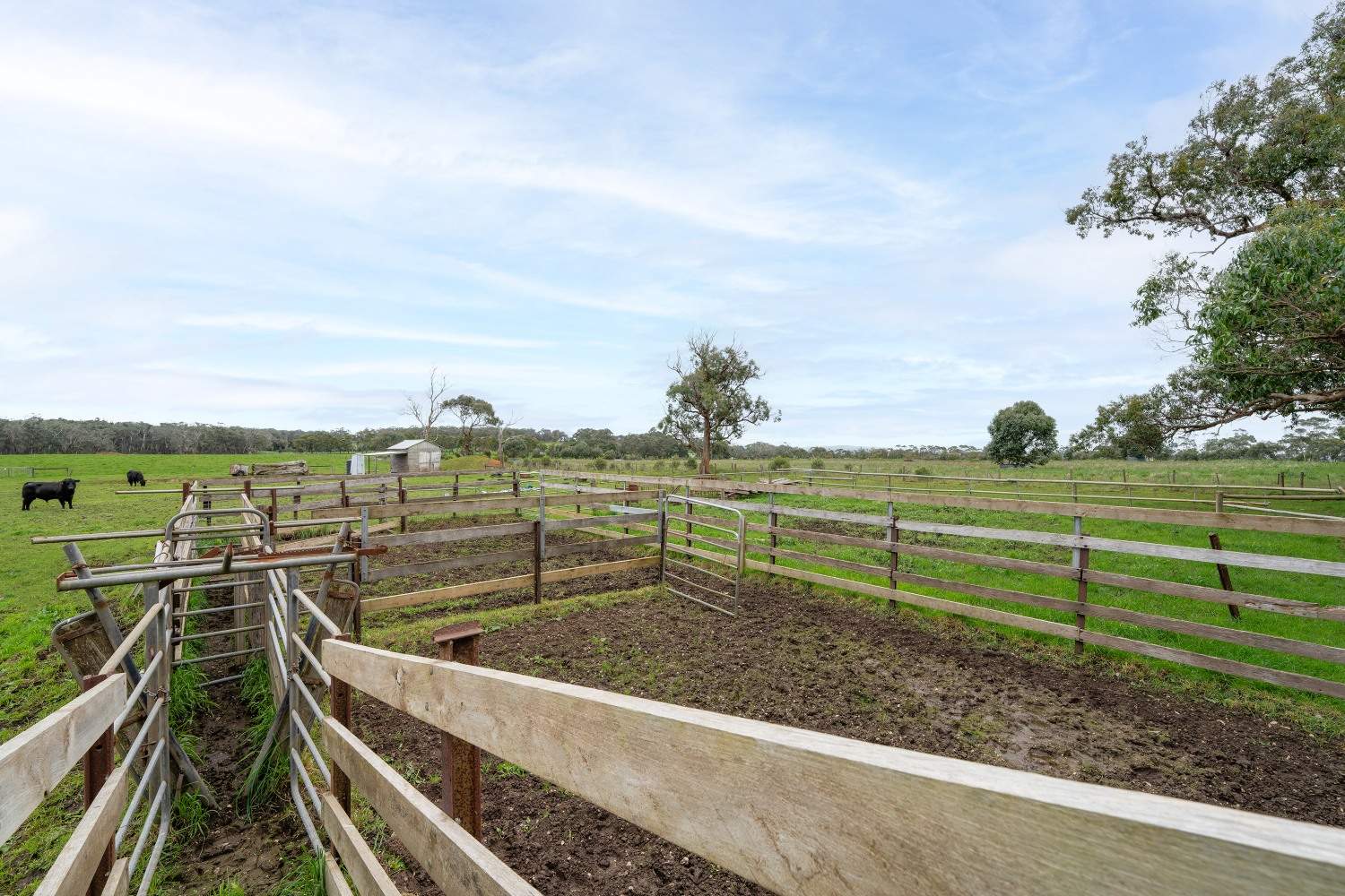 LOT 1 & 2 LP75465 Mt Clay Road, Heywood For Sale by Farmbuy.com - image 3