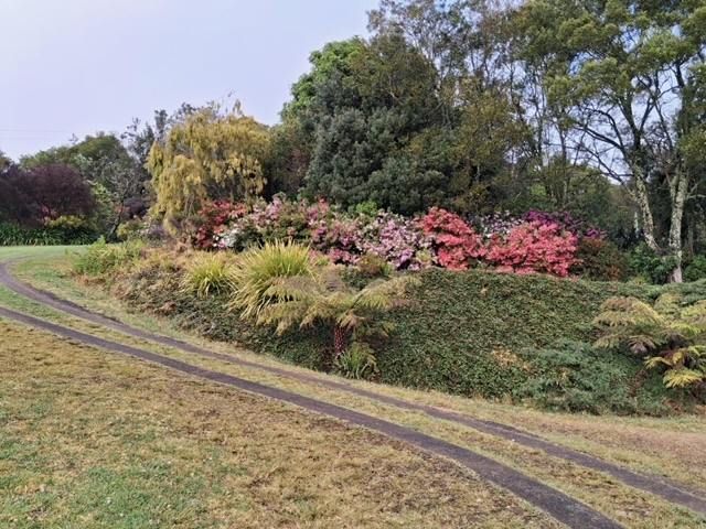 854 Whisky Creek Road, Dorrigo For Sale by Farmbuy.com - image 28