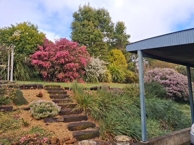 854 Whisky Creek Road, Dorrigo For Sale by Farmbuy.com - image 27