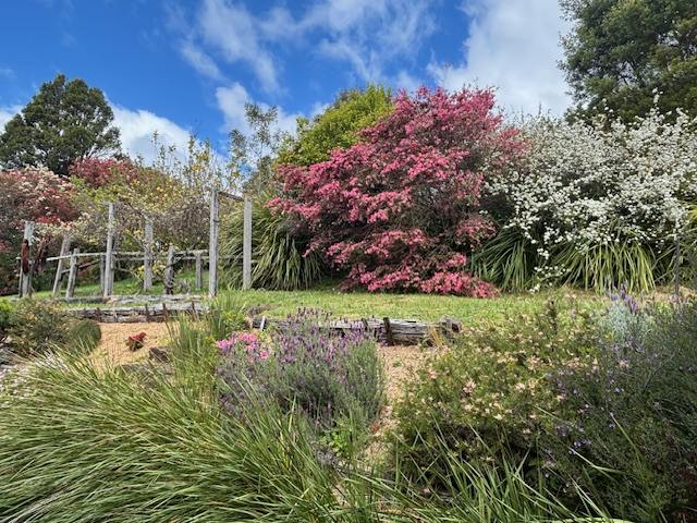 854 Whisky Creek Road, Dorrigo For Sale by Farmbuy.com - image 24