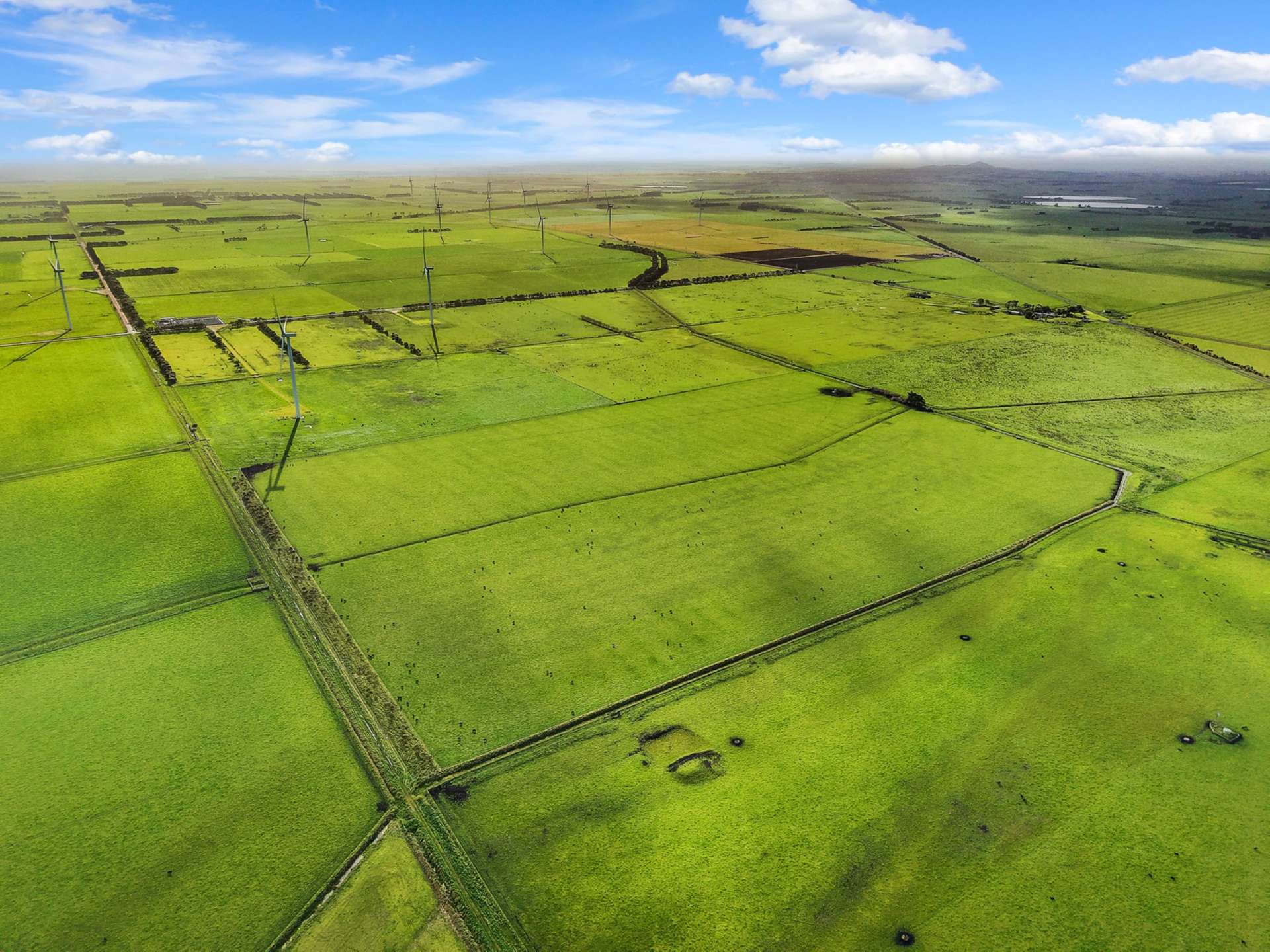 456 Grinters Lane, Kolora For Sale by Farmbuy.com - image 5