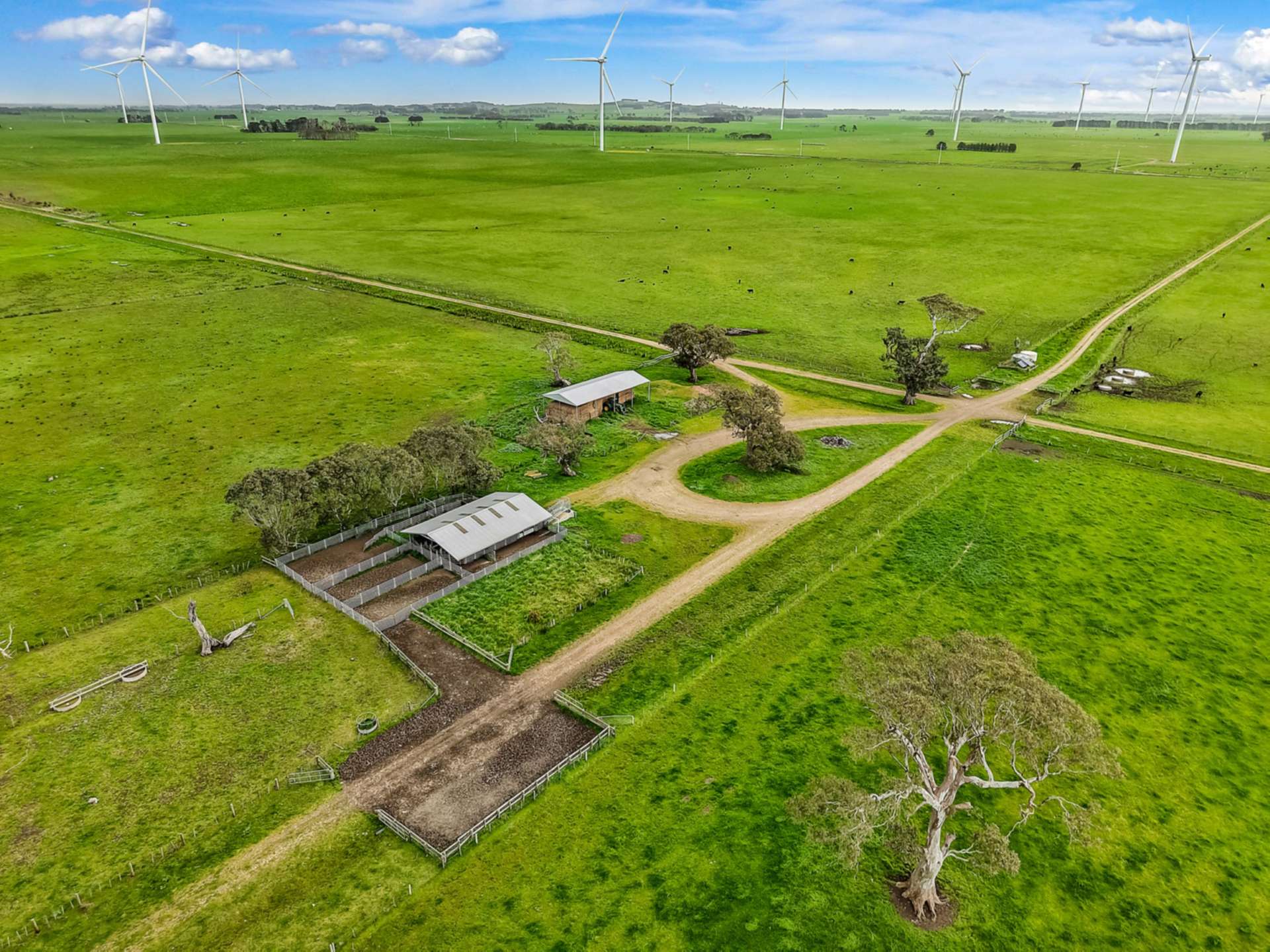 0 Tapps Lane, Kolora For Sale by Farmbuy.com - image 7