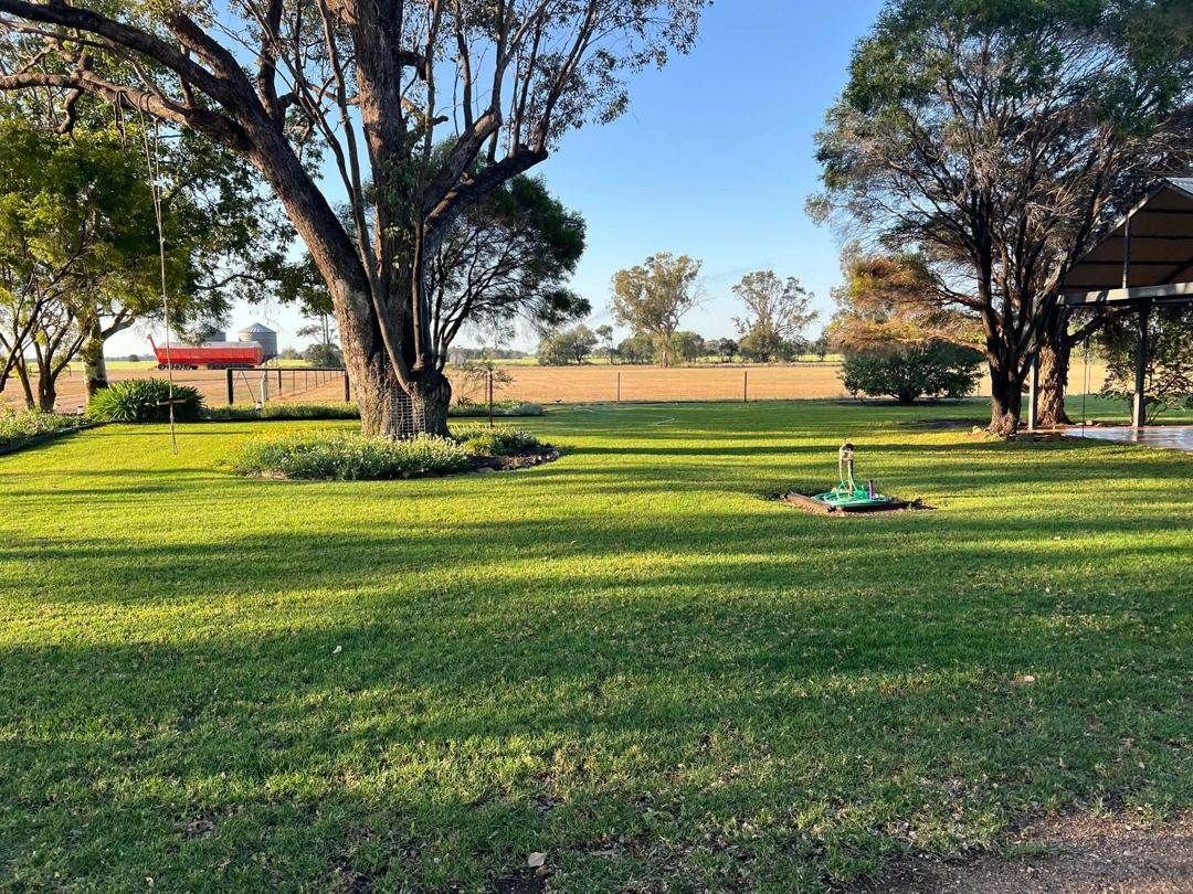 52 Cheecum Rd, Moree For Sale by Farmbuy.com - image 34