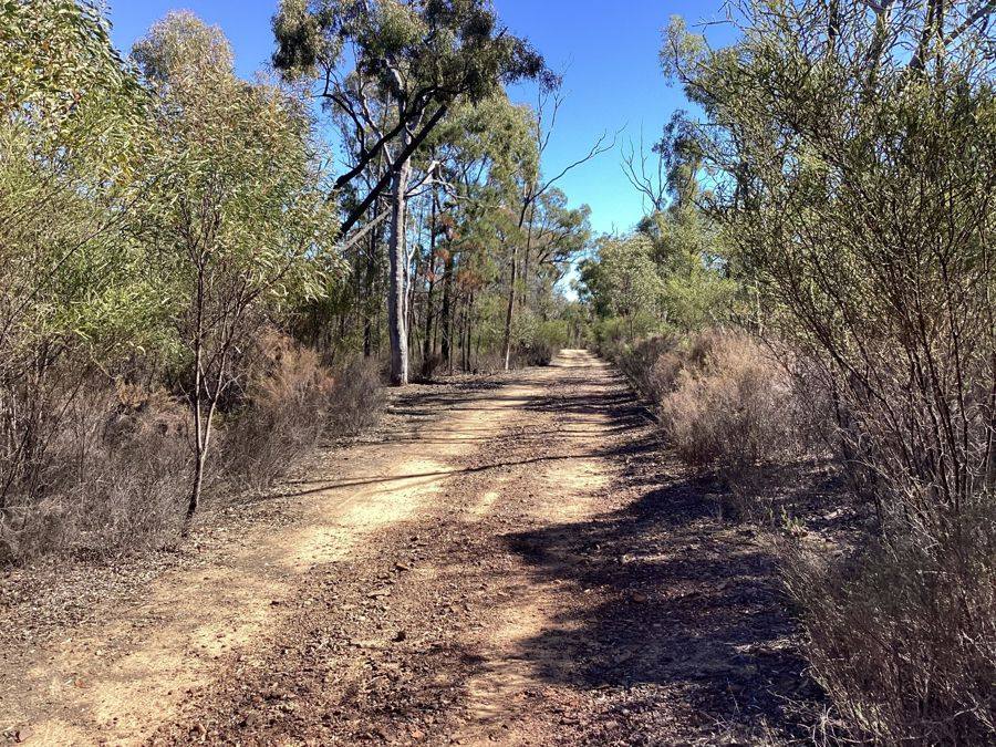 164 Michaels Lane, Warialda For Sale by Farmbuy.com - image 2