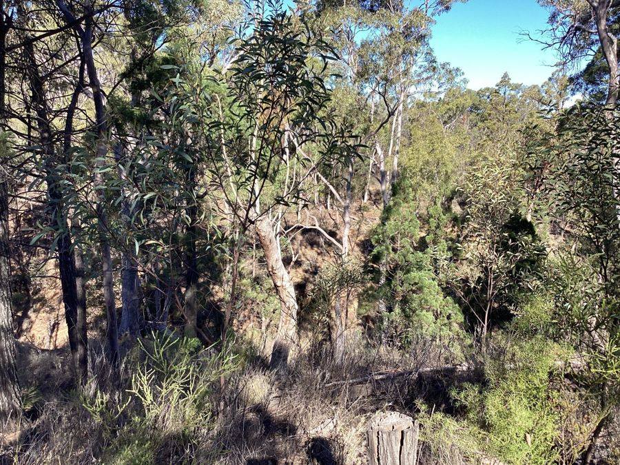 164 Michaels Lane, Warialda For Sale by Farmbuy.com - image 6