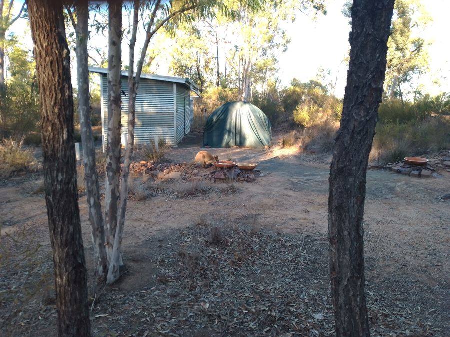 164 Michaels Lane, Warialda For Sale by Farmbuy.com - image 8