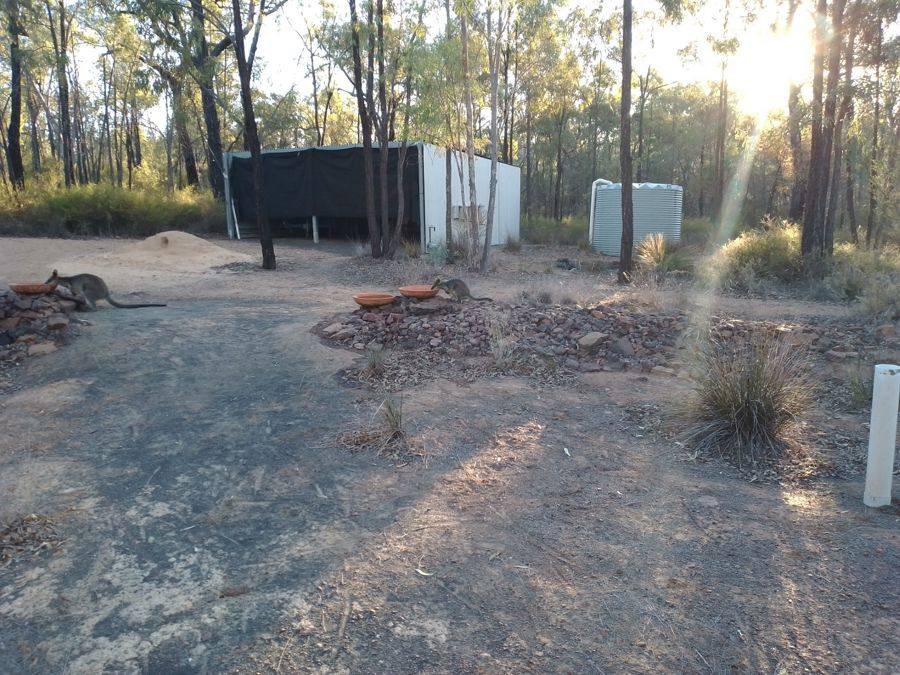 164 Michaels Lane, Warialda For Sale by Farmbuy.com - image 9