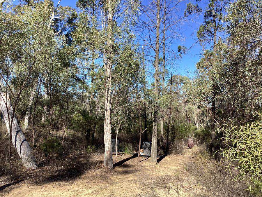 164 Michaels Lane, Warialda For Sale by Farmbuy.com - image 3