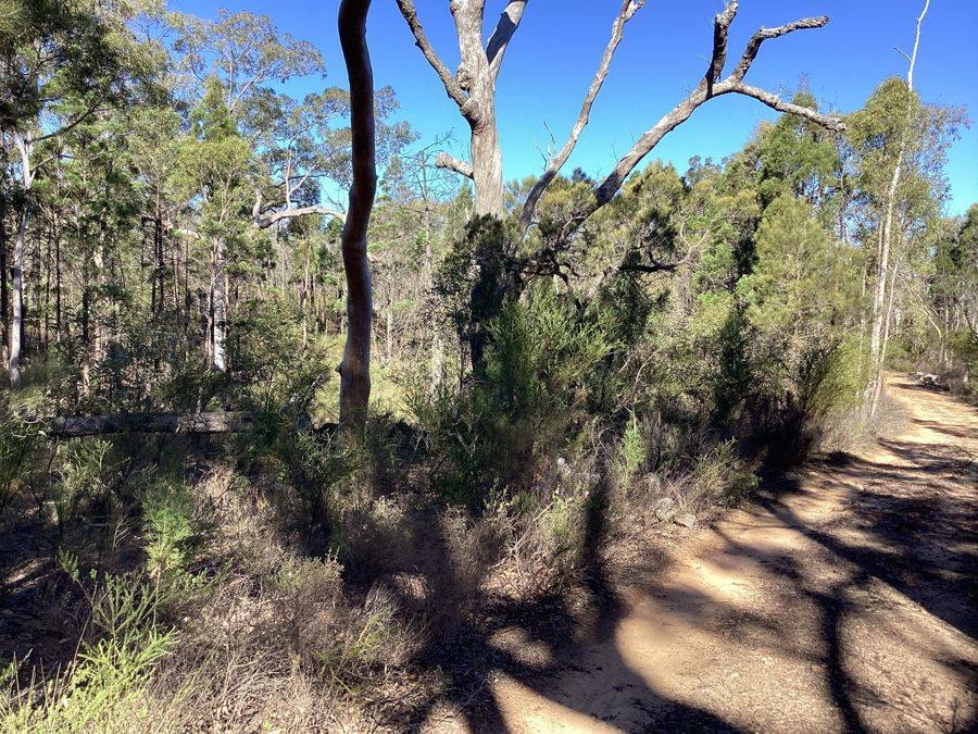 164 Michaels Lane, Warialda For Sale by Farmbuy.com - image 5