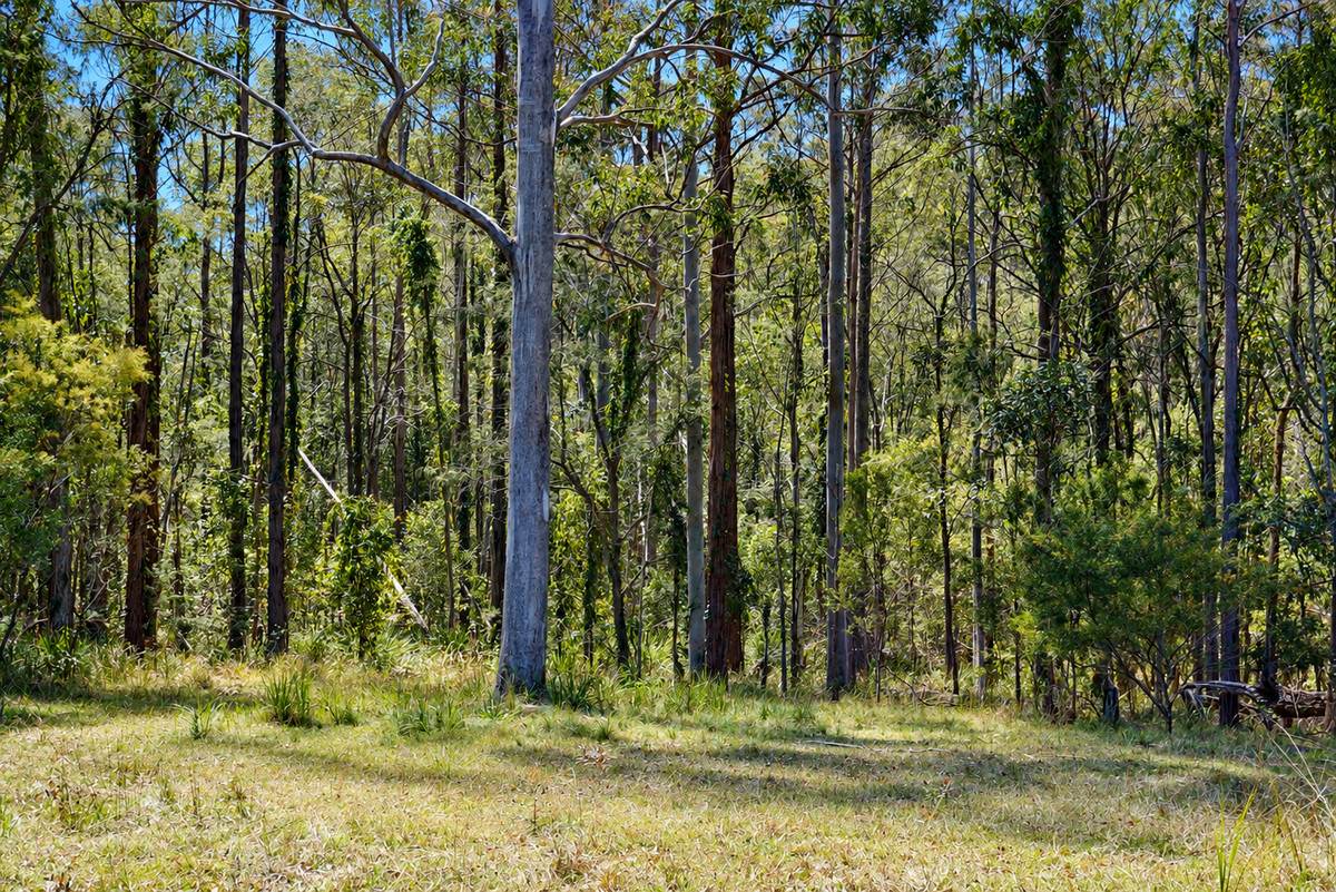 Boorook For Sale by Farmbuy.com - image 31