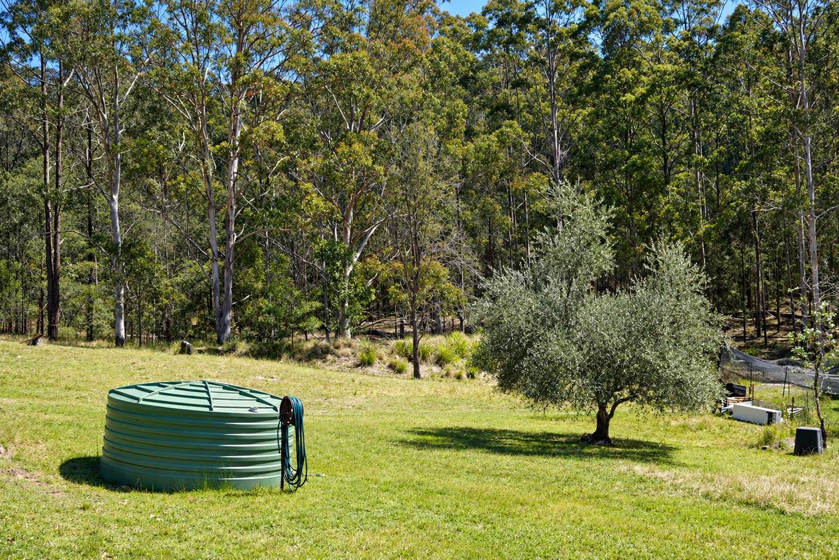 Boorook For Sale by Farmbuy.com - image 19