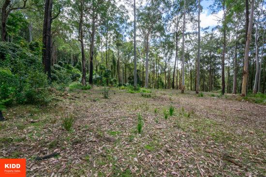 Kulnura For Sale by Farmbuy.com - image 17