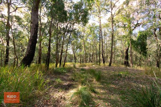 Kulnura For Sale by Farmbuy.com - image 21