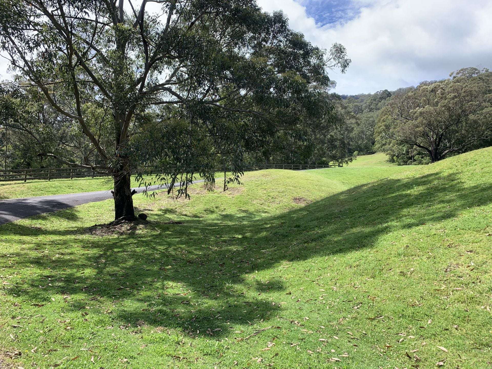 65 Marden Lane, Kangaroo Valley For Sale by Farmbuy.com - image 19