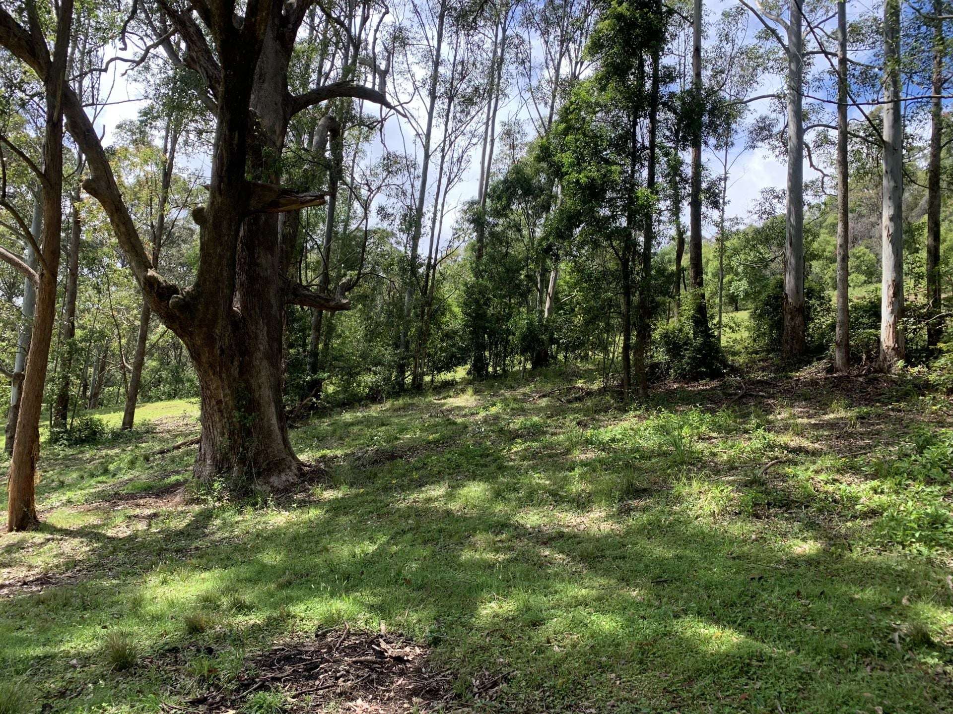 65 Marden Lane, Kangaroo Valley For Sale by Farmbuy.com - image 21