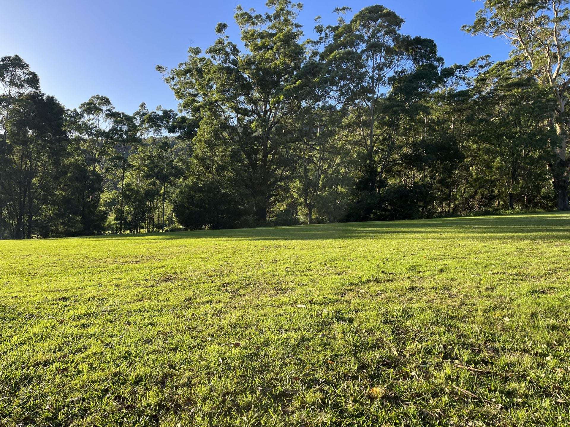 65 Marden Lane, Kangaroo Valley For Sale by Farmbuy.com - image 31