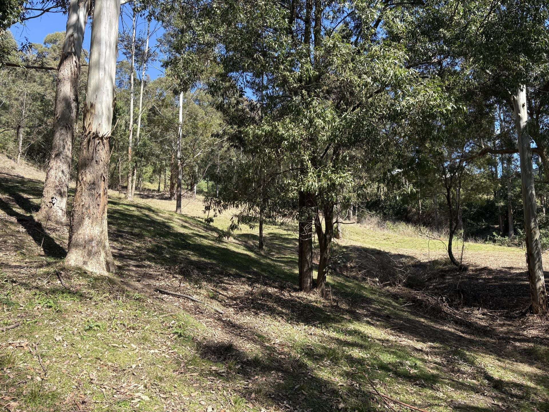 65 Marden Lane, Kangaroo Valley For Sale by Farmbuy.com - image 13