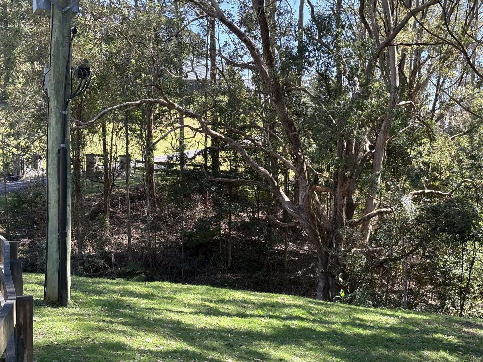 65 Marden Lane, Kangaroo Valley For Sale by Farmbuy.com - image 10