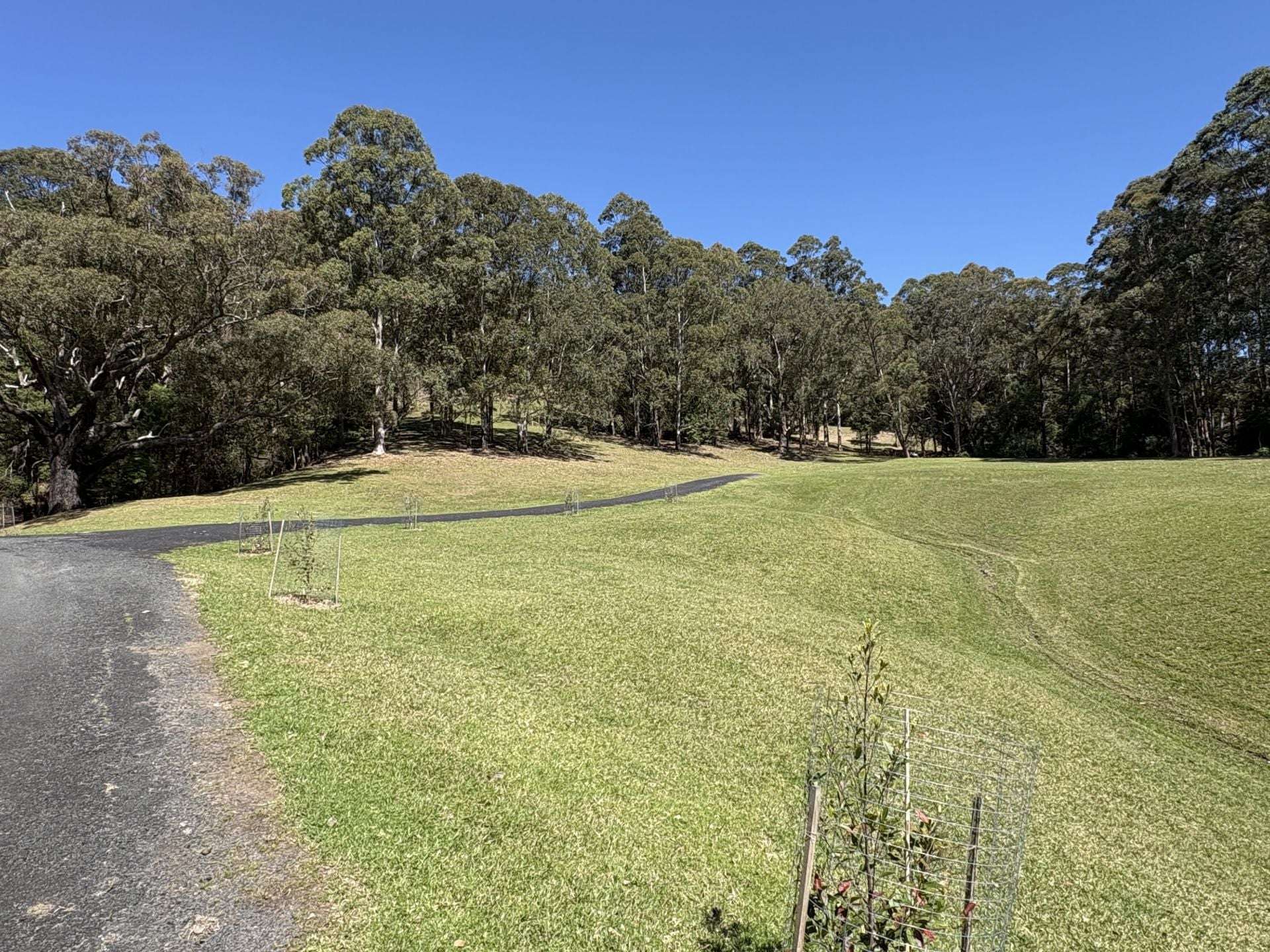65 Marden Lane, Kangaroo Valley For Sale by Farmbuy.com - image 4