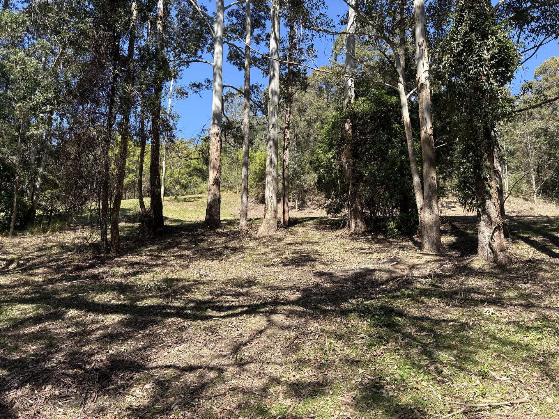 65 Marden Lane, Kangaroo Valley For Sale by Farmbuy.com - image 11