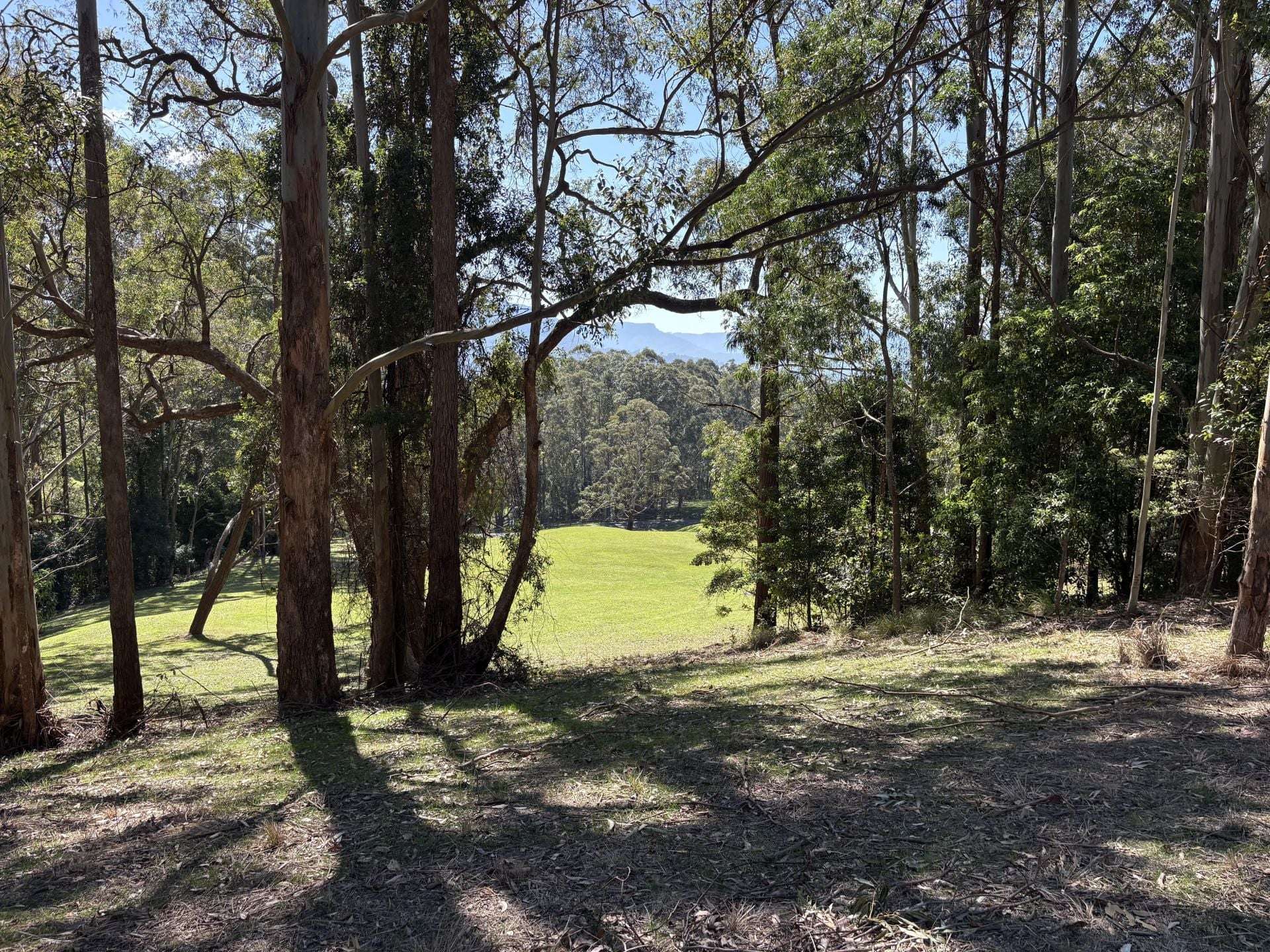 65 Marden Lane, Kangaroo Valley For Sale by Farmbuy.com - image 14
