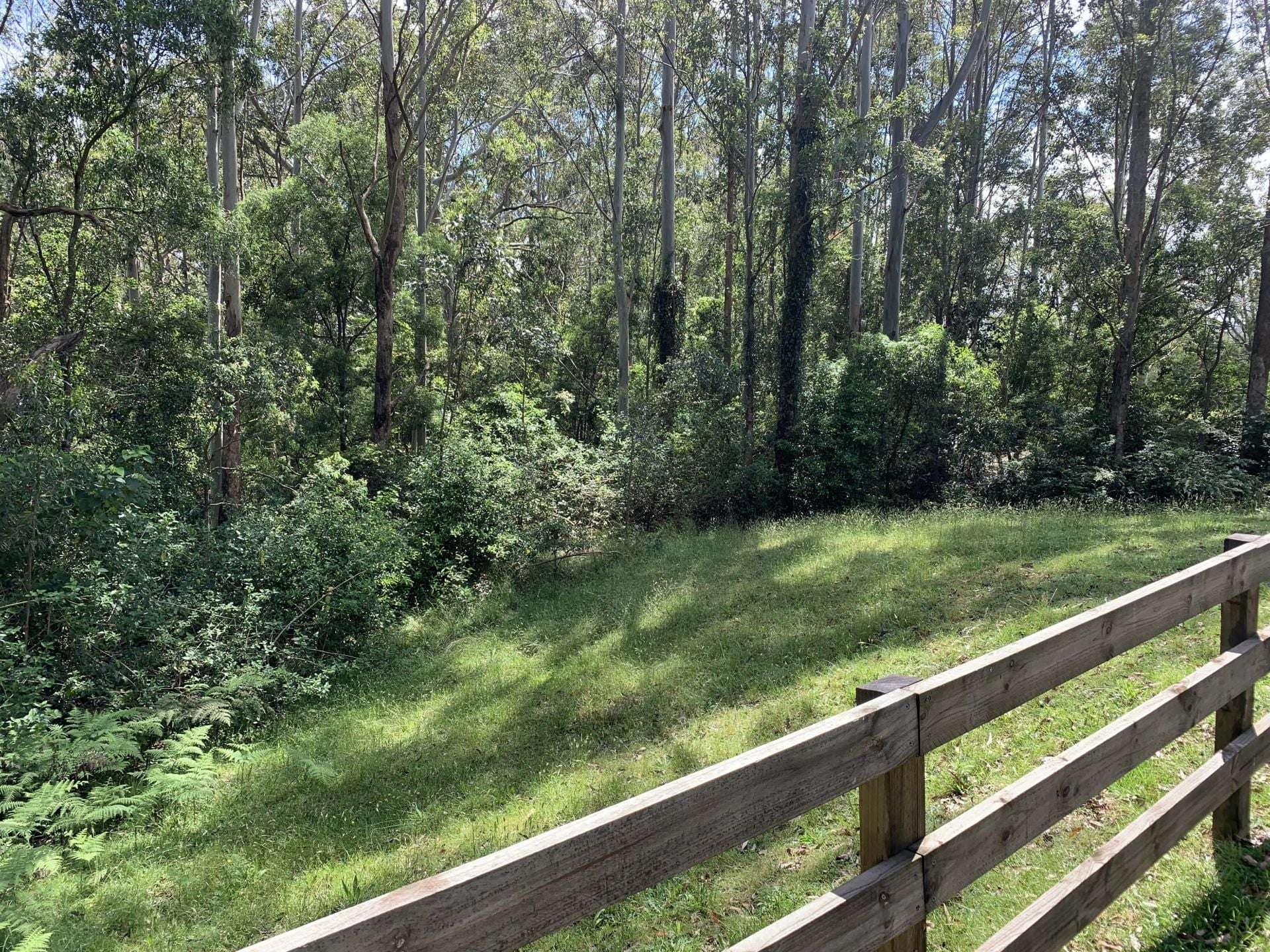 65 Marden Lane, Kangaroo Valley For Sale by Farmbuy.com - image 25