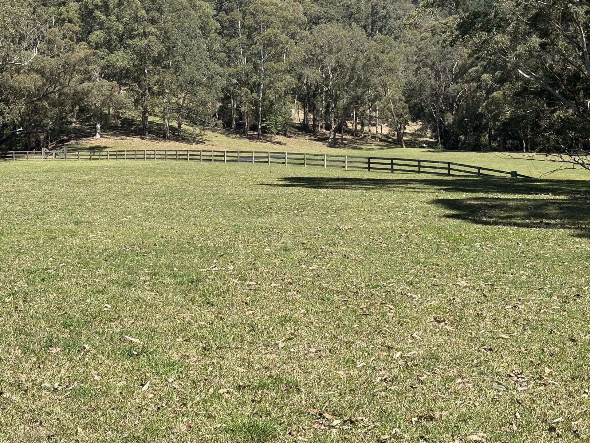 65 Marden Lane, Kangaroo Valley For Sale by Farmbuy.com - image 9