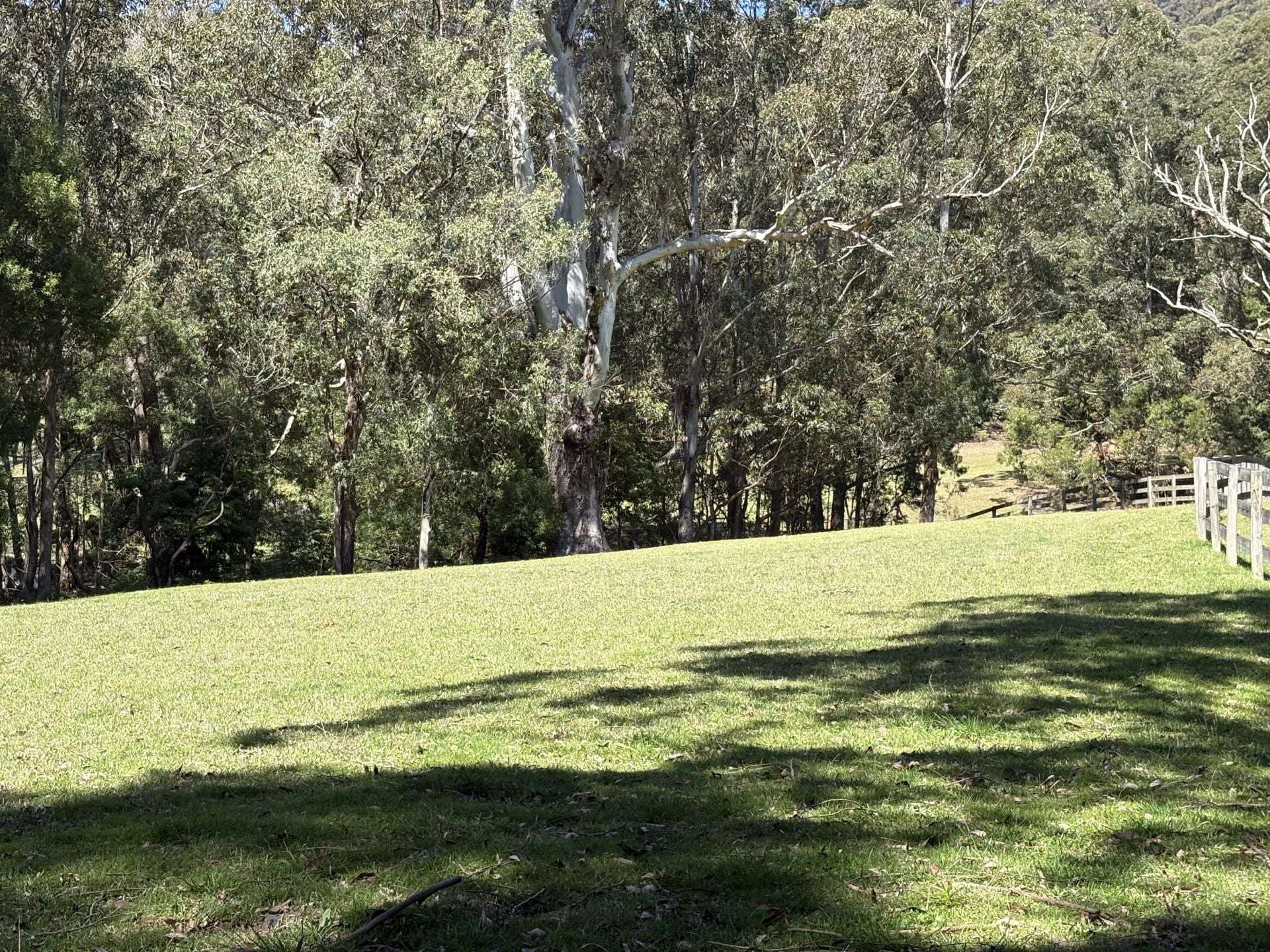 65 Marden Lane, Kangaroo Valley For Sale by Farmbuy.com - image 29