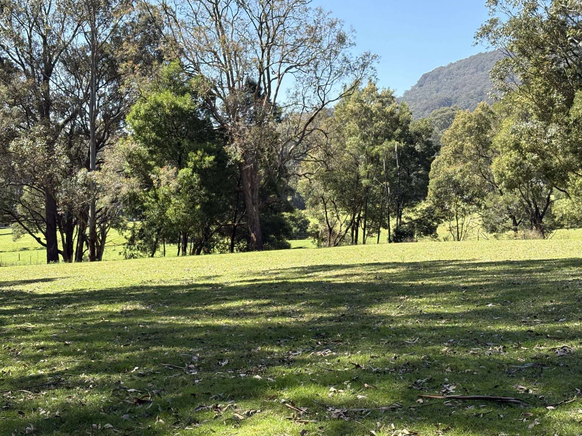 65 Marden Lane, Kangaroo Valley For Sale by Farmbuy.com - image 22