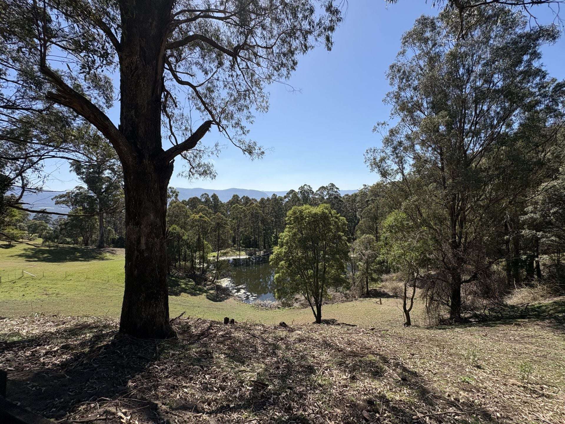65d Marden Lane, Kangaroo Valley For Sale by Farmbuy.com - image 12