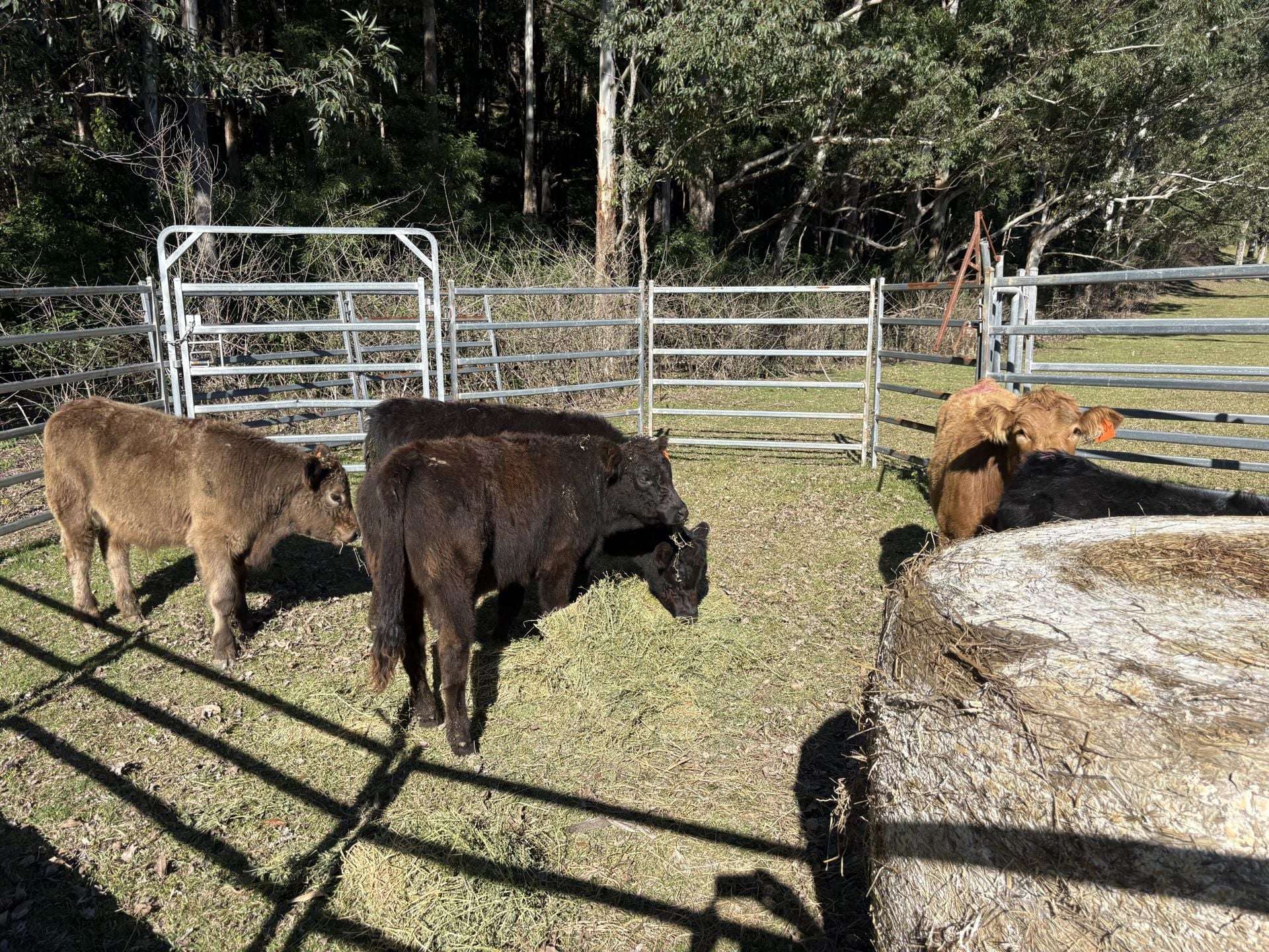 65d Marden Lane, Kangaroo Valley For Sale by Farmbuy.com - image 3