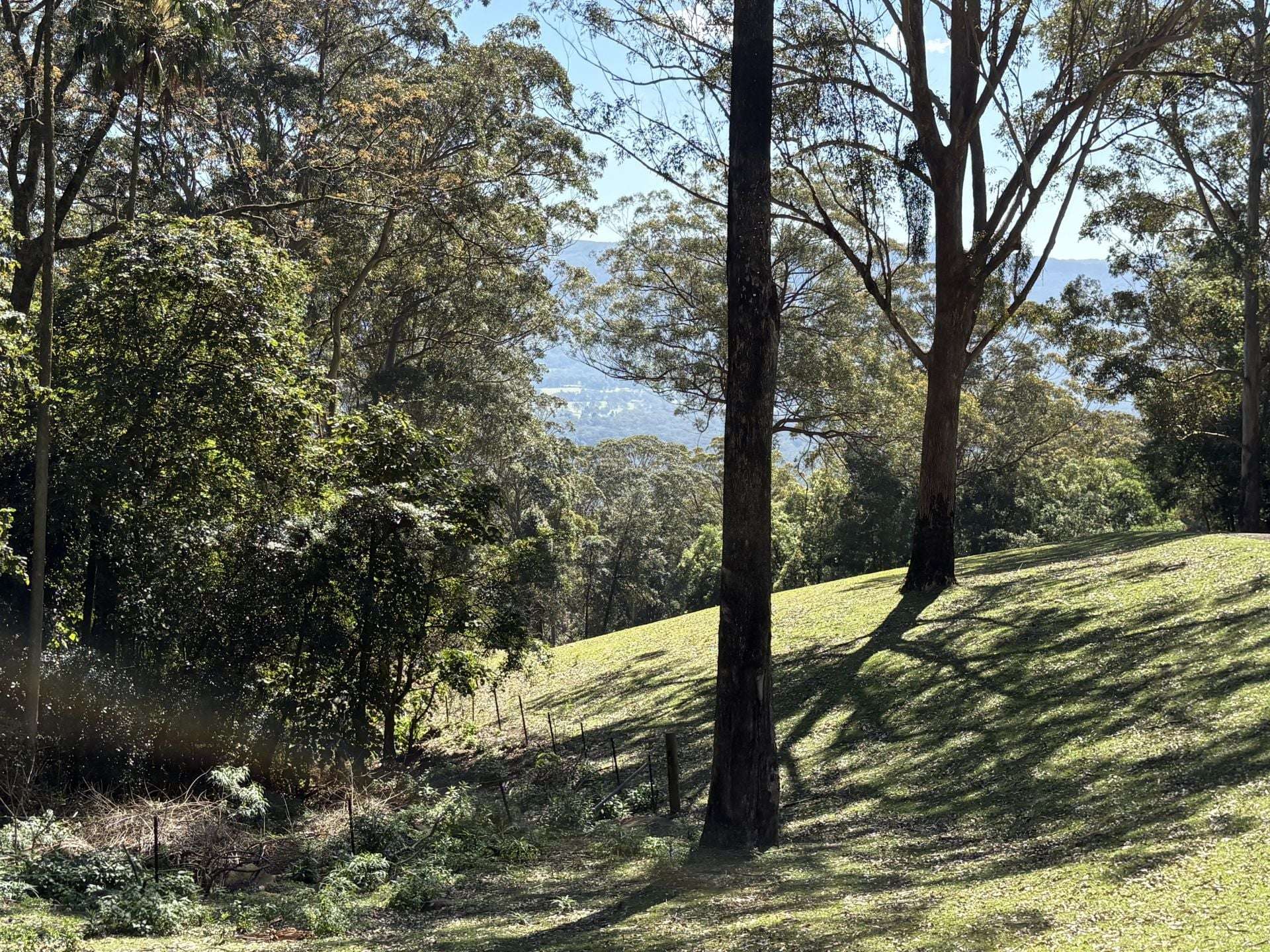 65d Marden Lane, Kangaroo Valley For Sale by Farmbuy.com - image 10