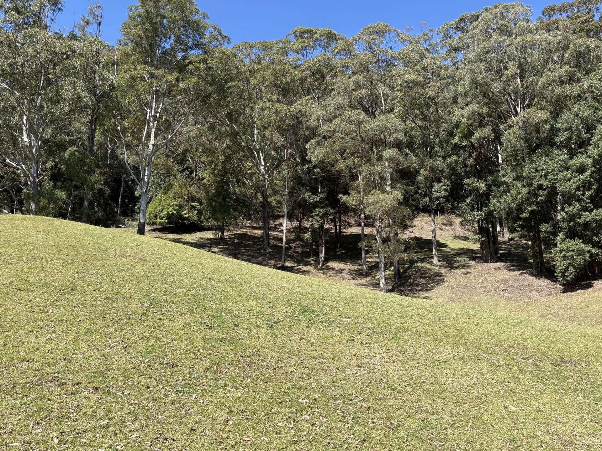 65d Marden Lane, Kangaroo Valley For Sale by Farmbuy.com - image 17