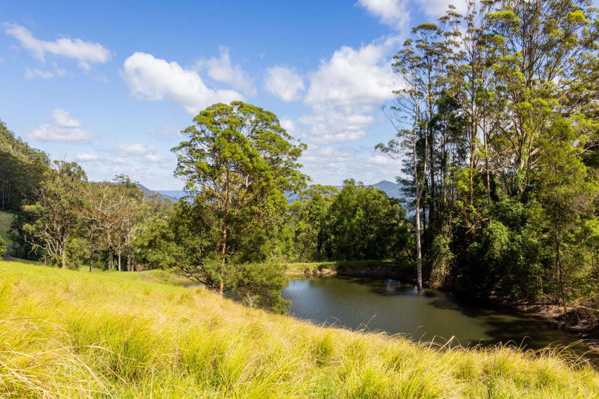 65d Marden Lane, Kangaroo Valley For Sale by Farmbuy.com - image 33