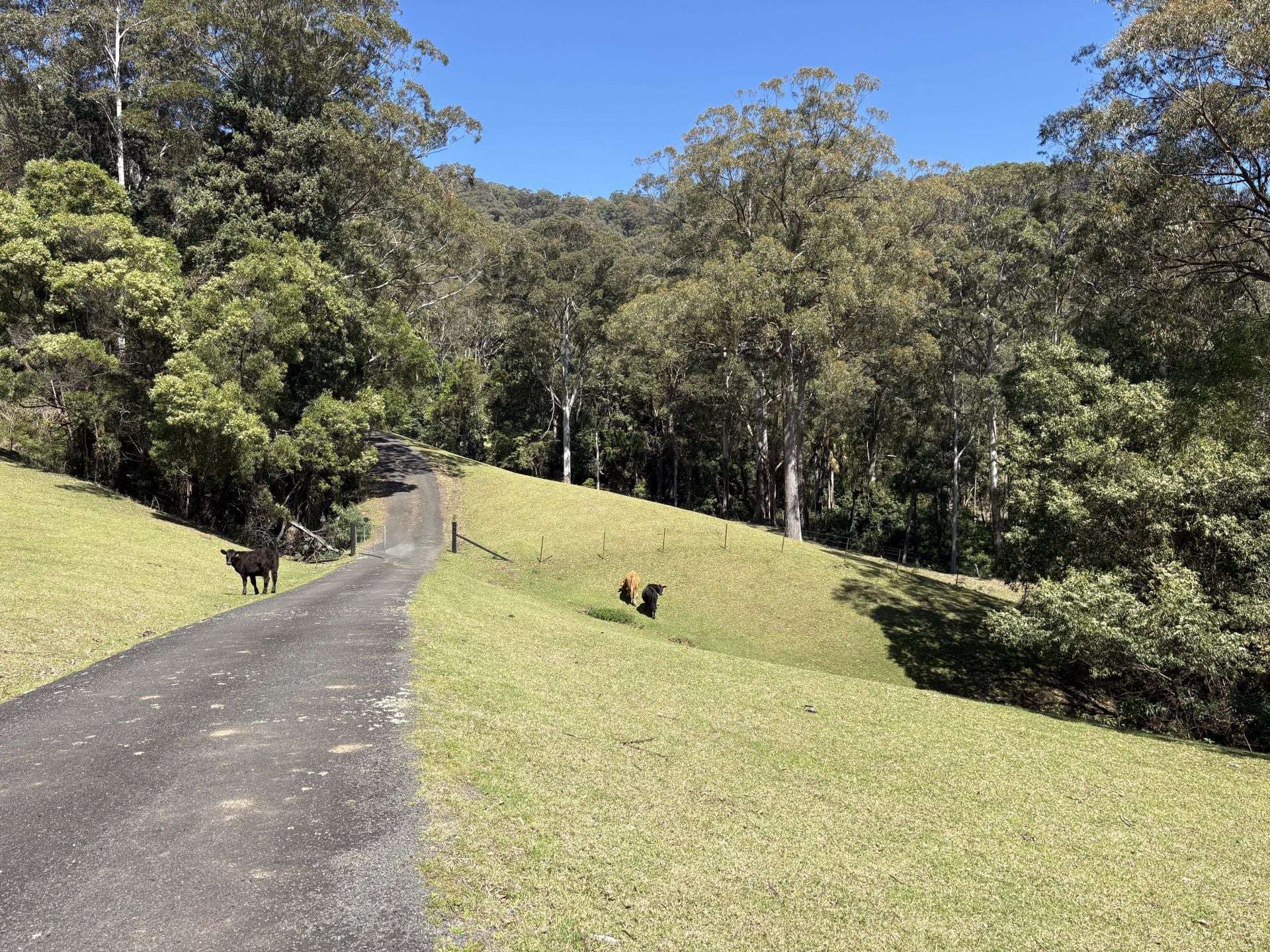 65d Marden Lane, Kangaroo Valley For Sale by Farmbuy.com - image 9