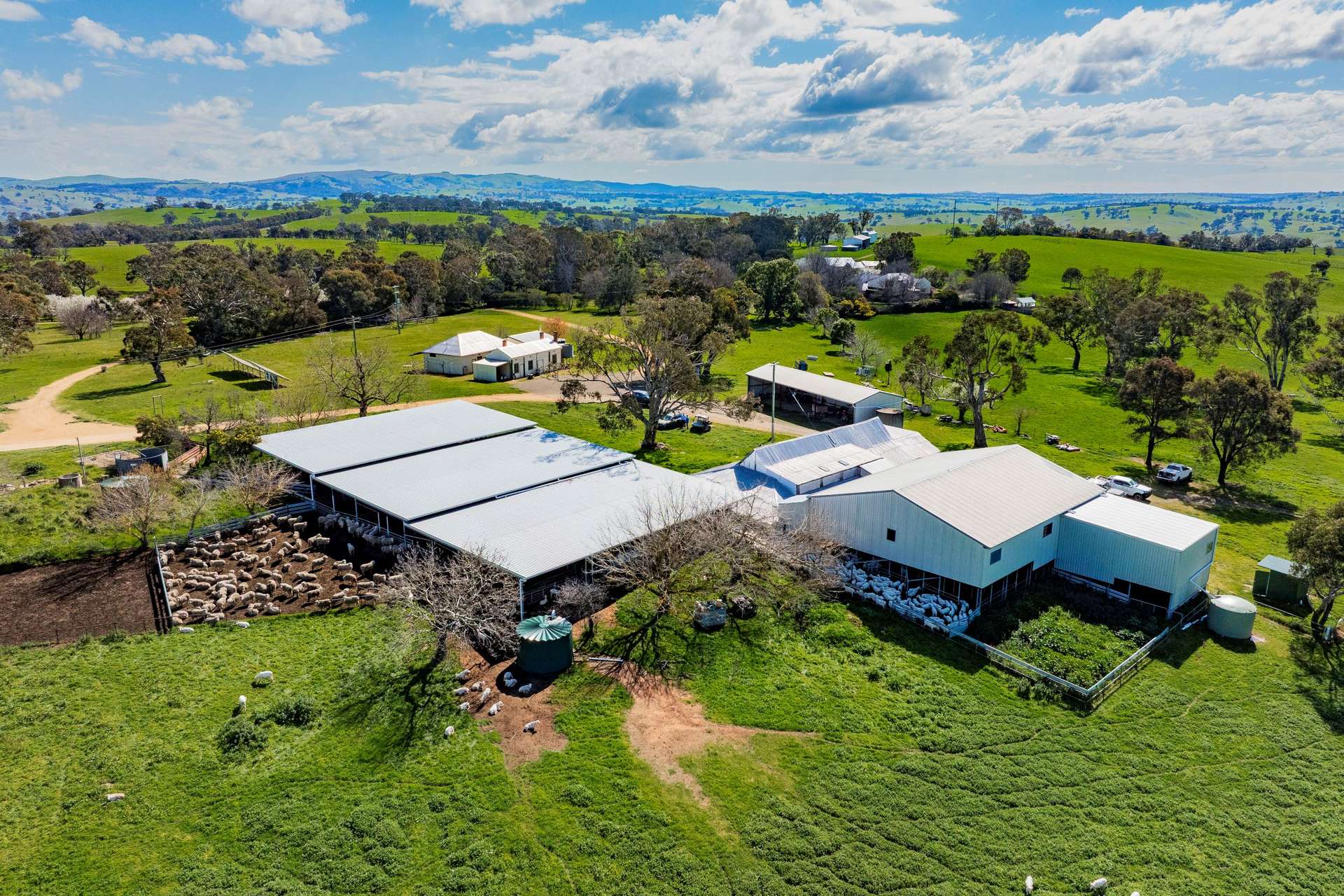 402 Euralie Road, Yass For Sale by Farmbuy.com - image 8