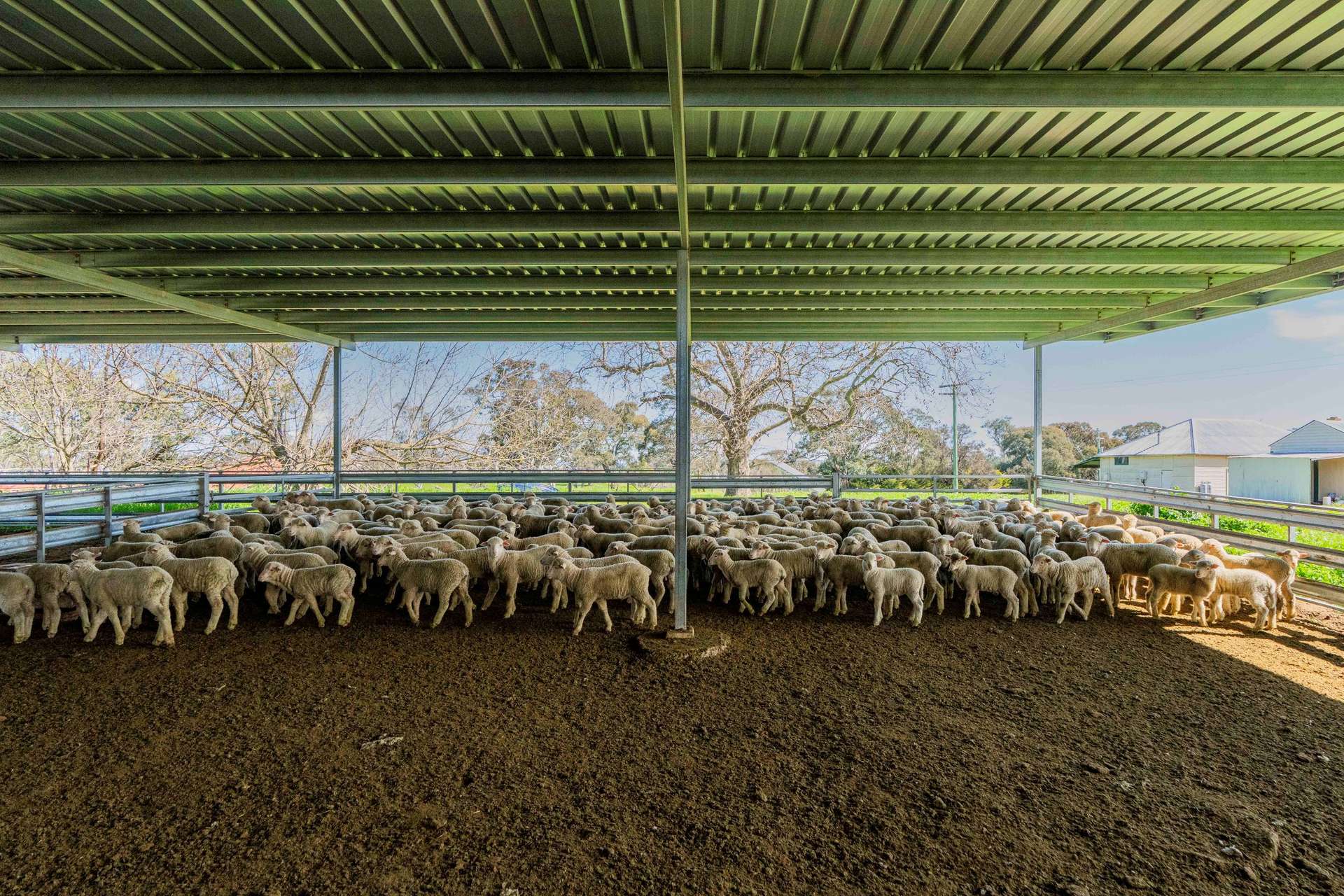 402 Euralie Road, Yass For Sale by Farmbuy.com - image 35