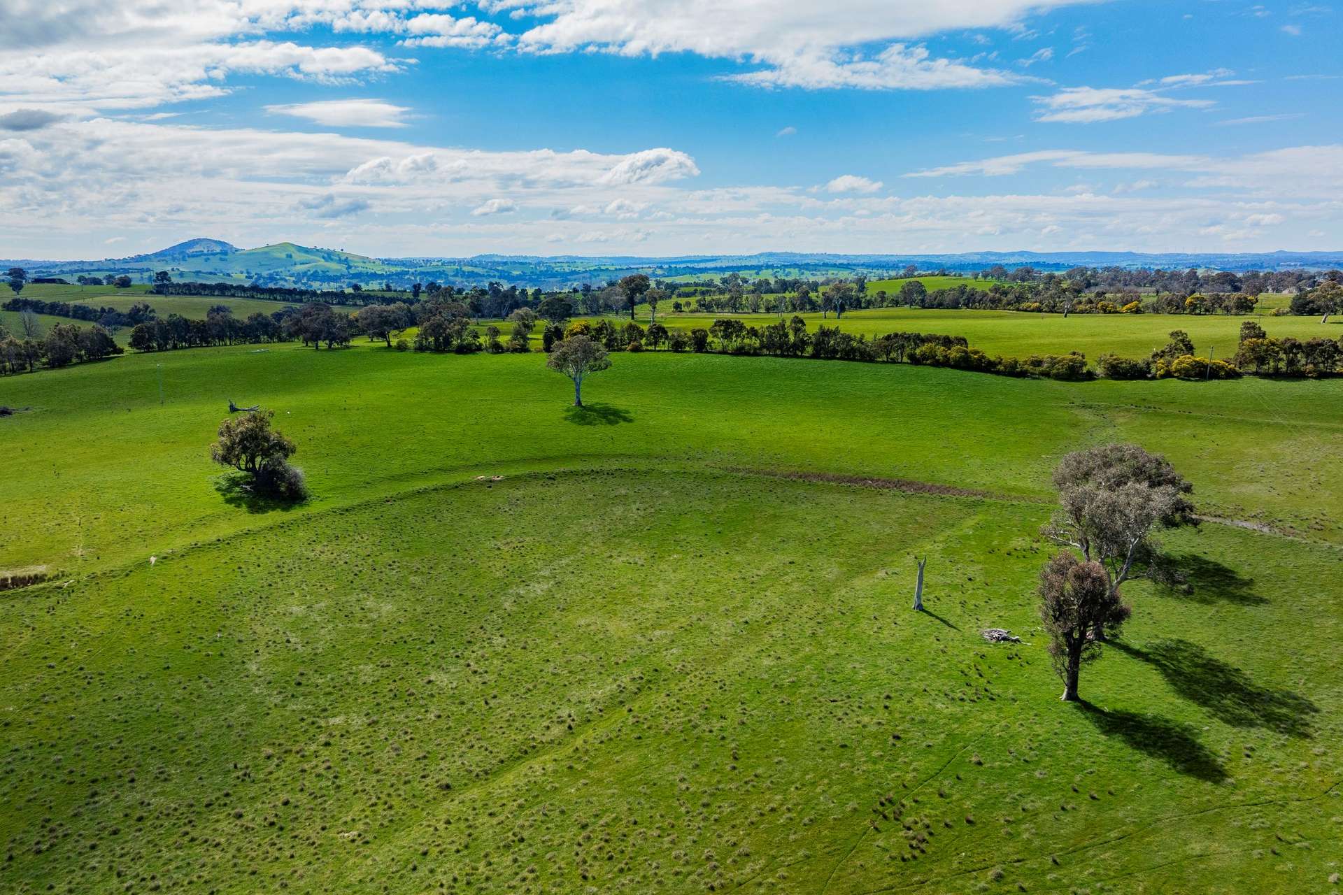402 Euralie Road, Yass For Sale by Farmbuy.com - image 14