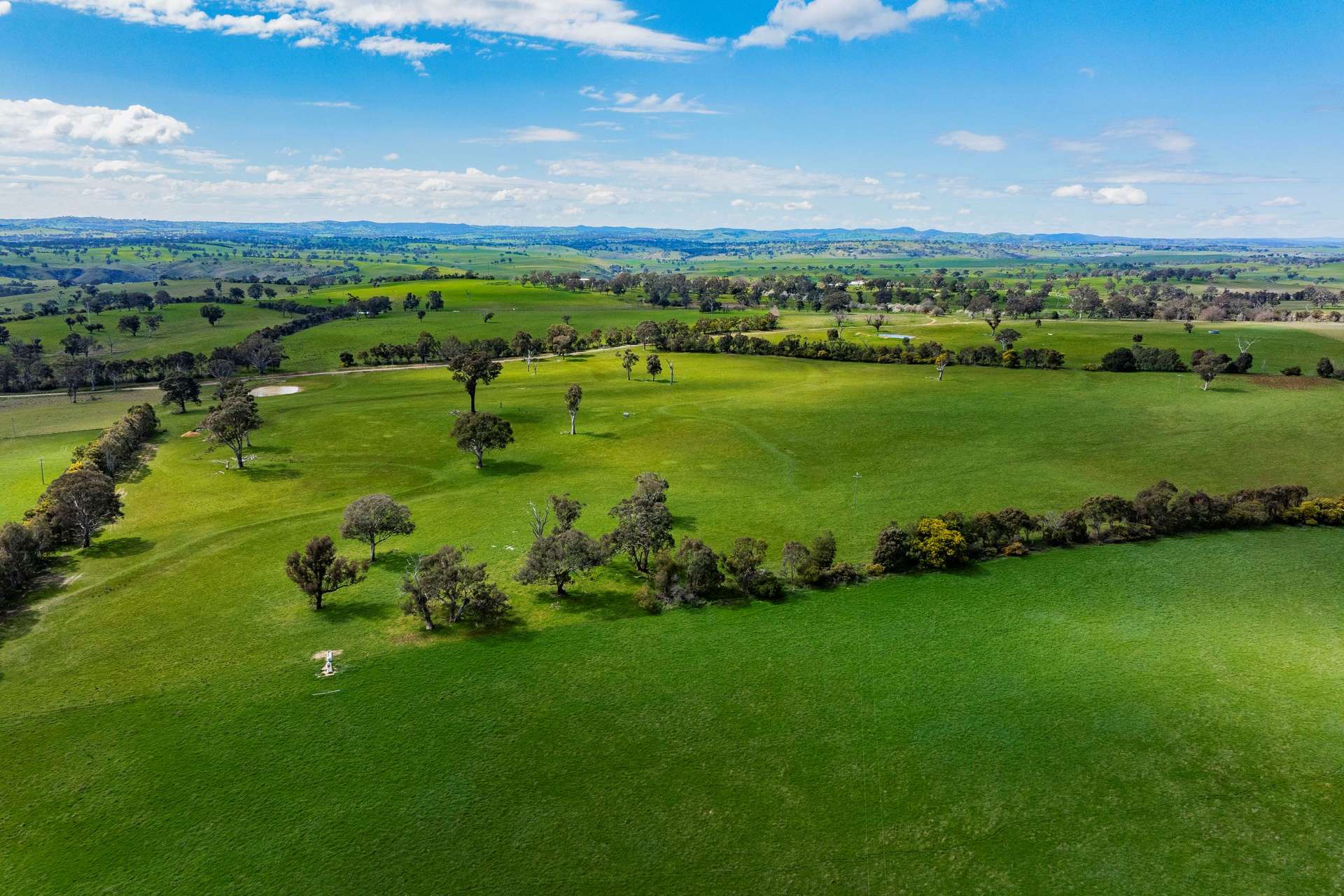402 Euralie Road, Yass For Sale by Farmbuy.com - image 10