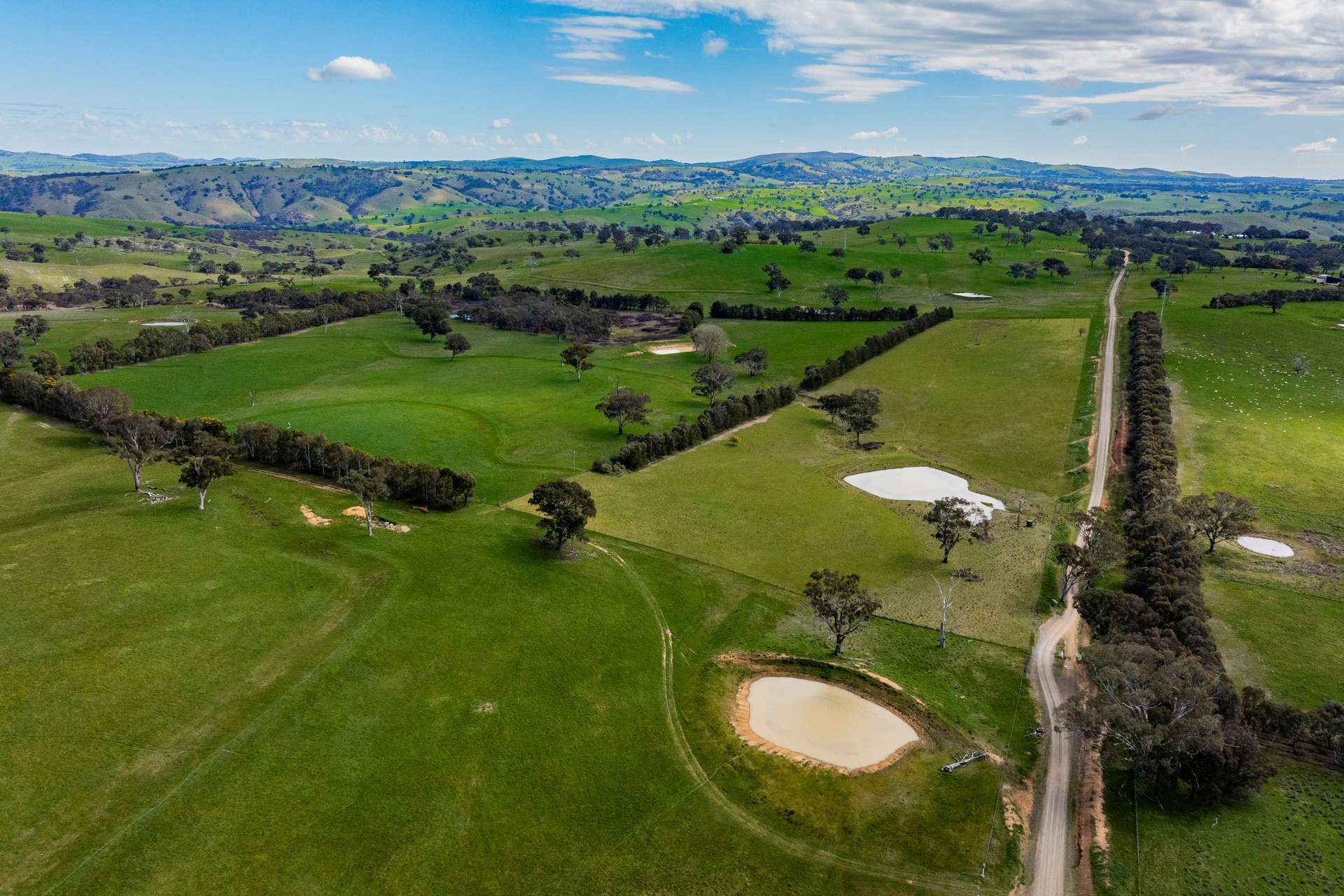 402 Euralie Road, Yass For Sale by Farmbuy.com - image 15