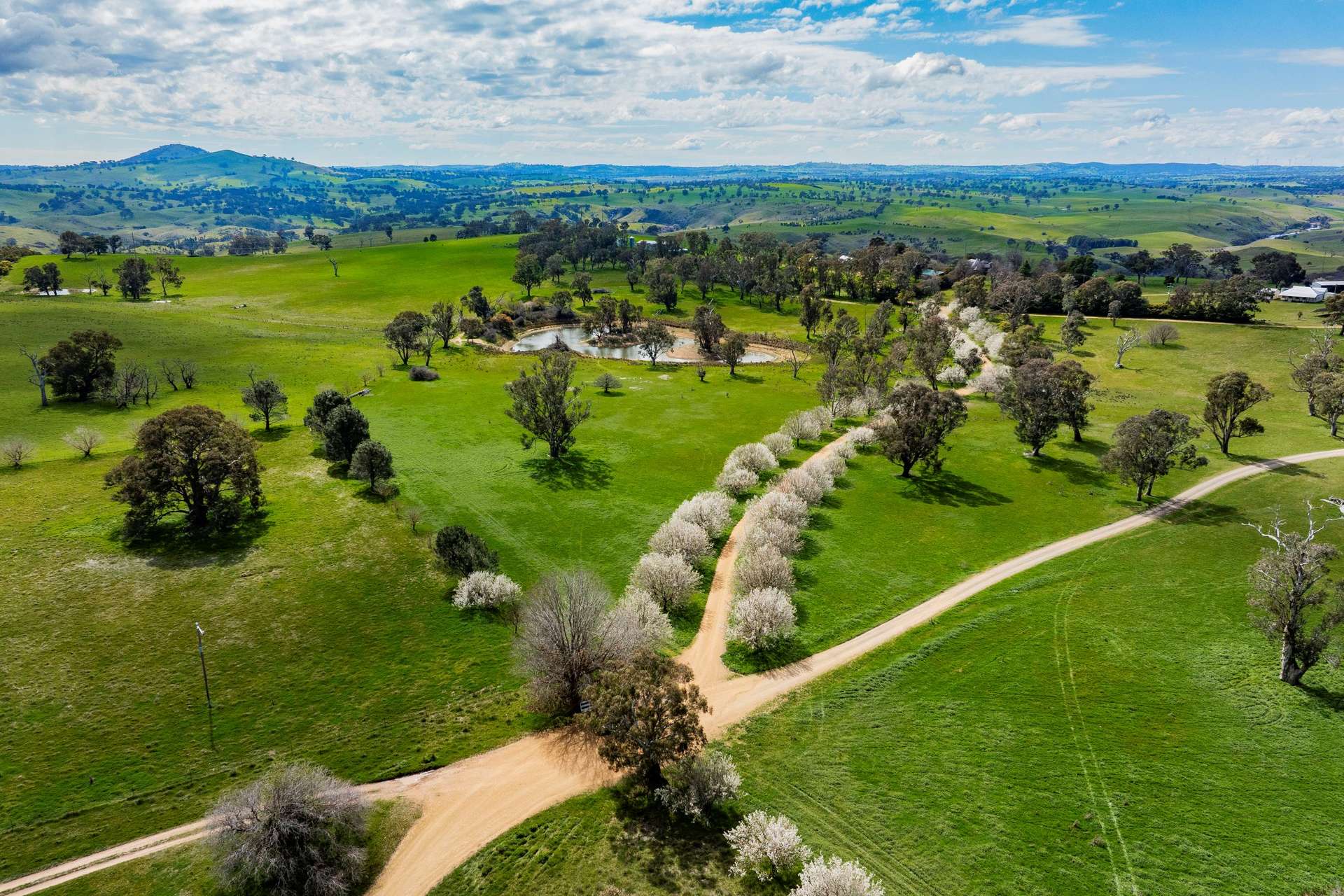 402 Euralie Road, Yass For Sale by Farmbuy.com - image 3