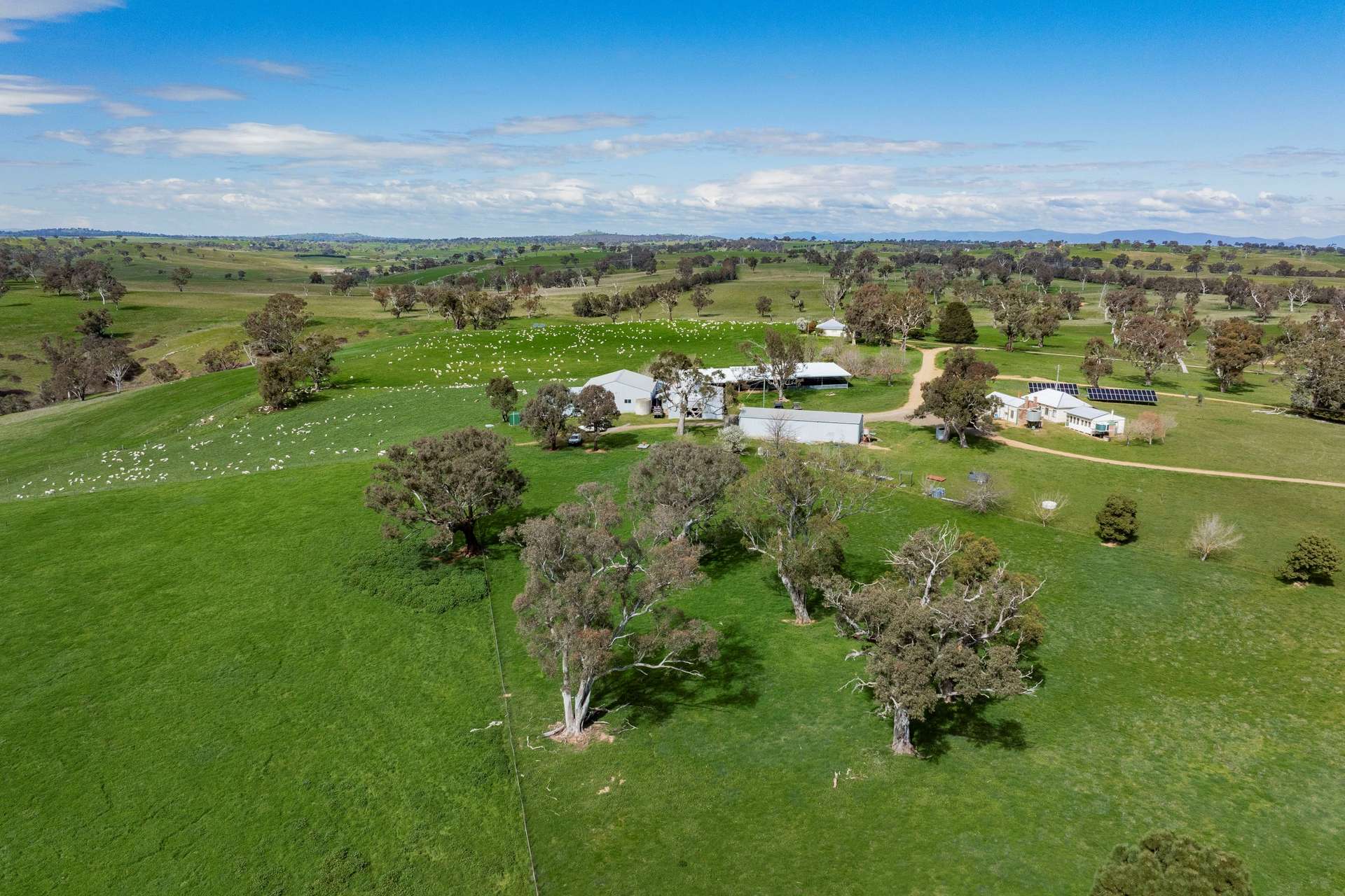 402 Euralie Road, Yass For Sale by Farmbuy.com - image 33