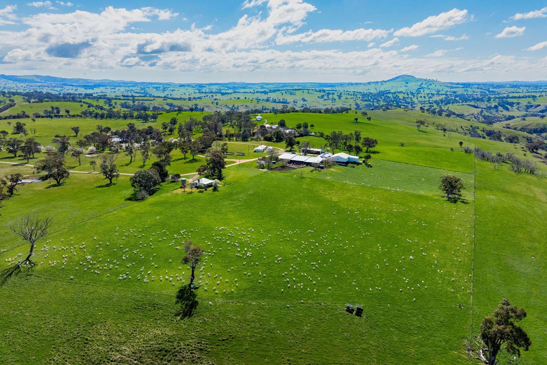 402 Euralie Road, Yass For Sale by Farmbuy.com - image 4