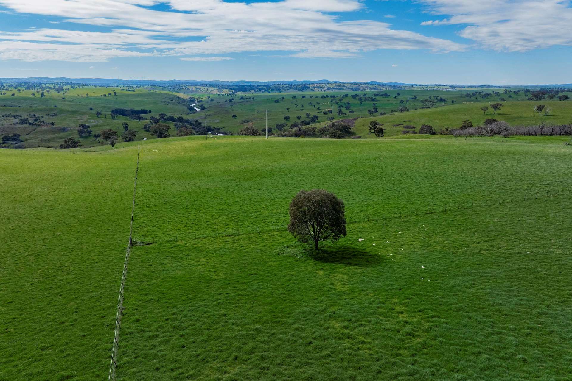 402 Euralie Road, Yass For Sale by Farmbuy.com - image 16