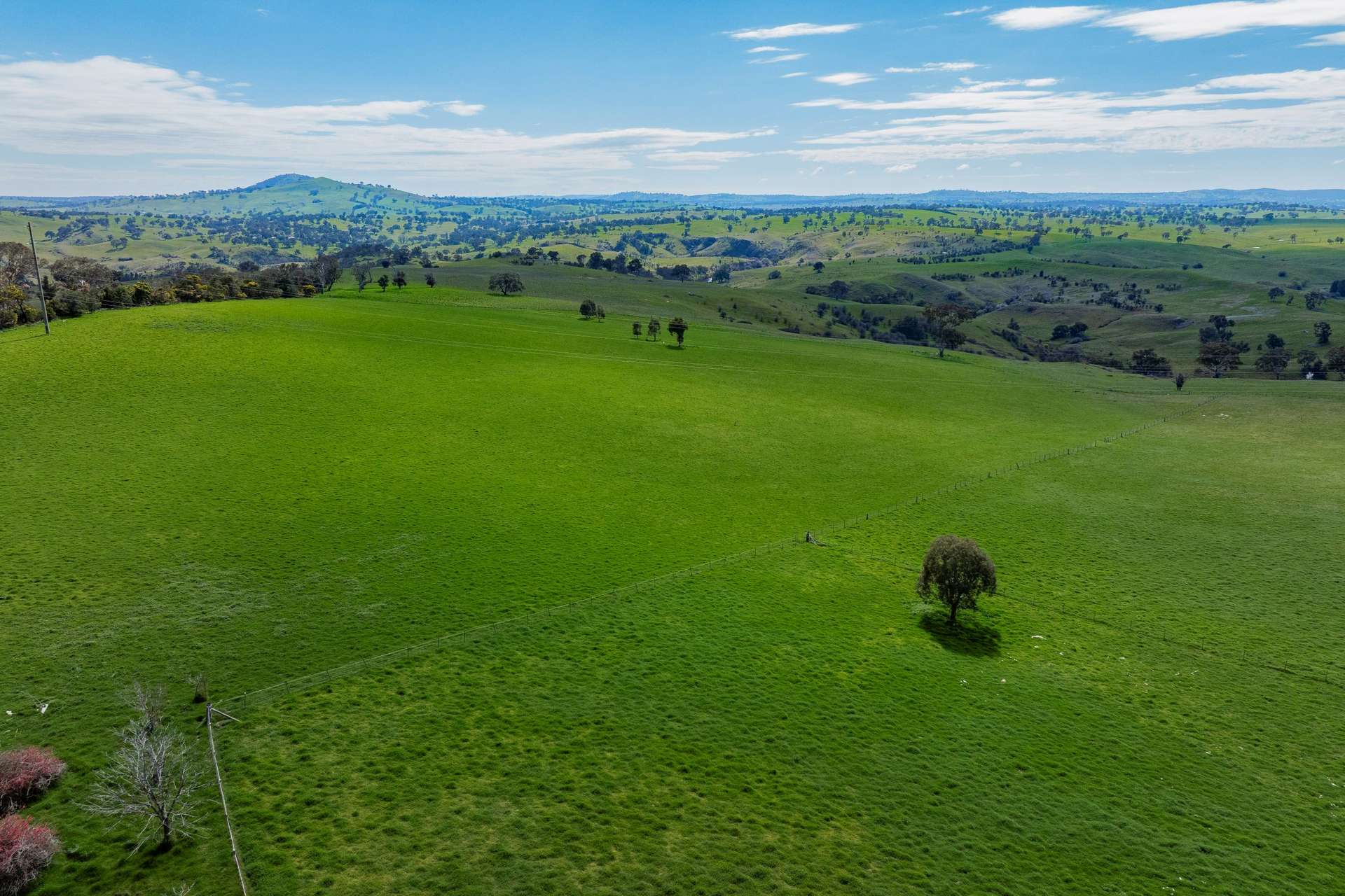 402 Euralie Road, Yass For Sale by Farmbuy.com - image 11