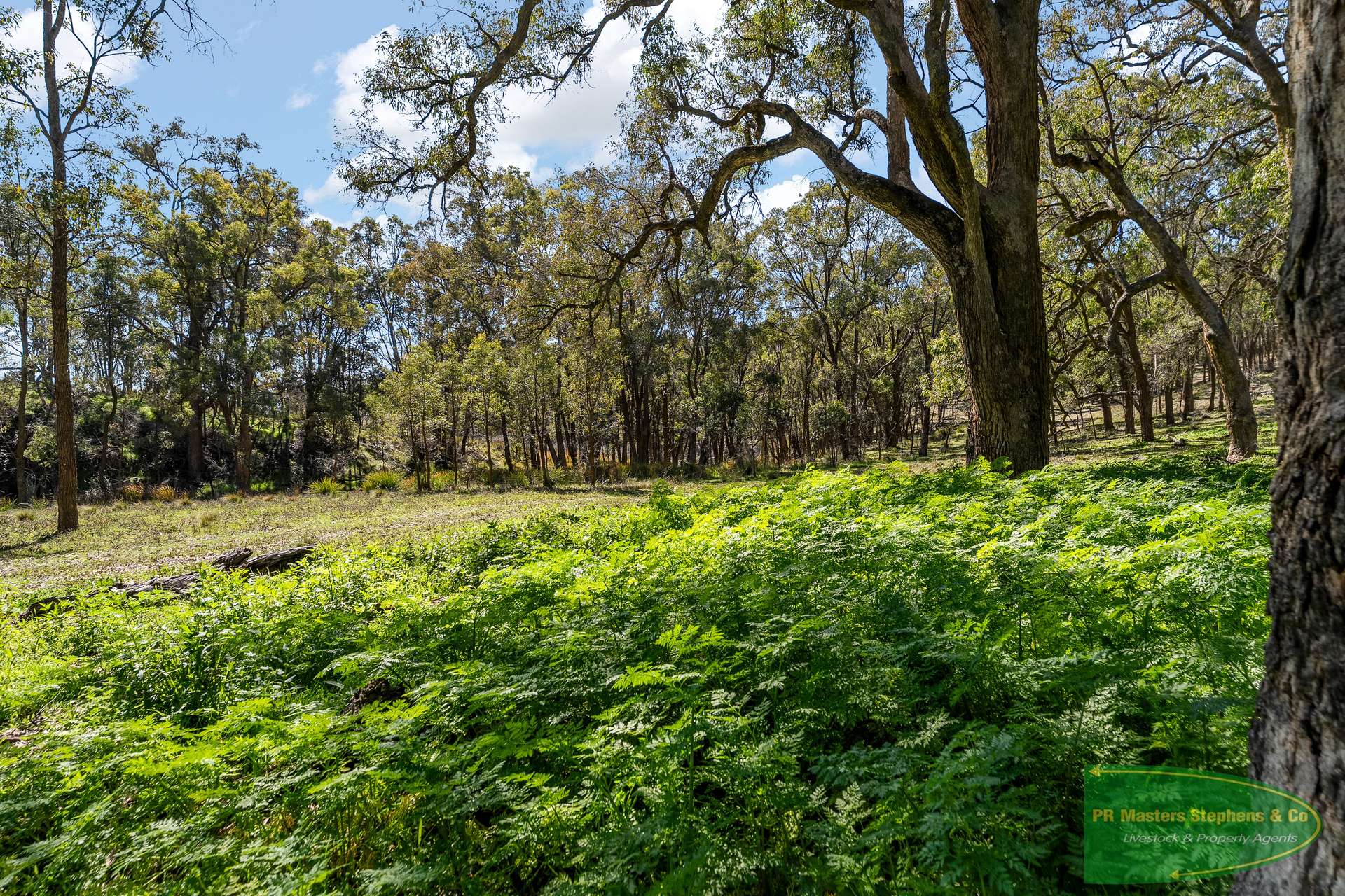 728 The Bridle Track, Duramana For Sale by Farmbuy.com - image 26