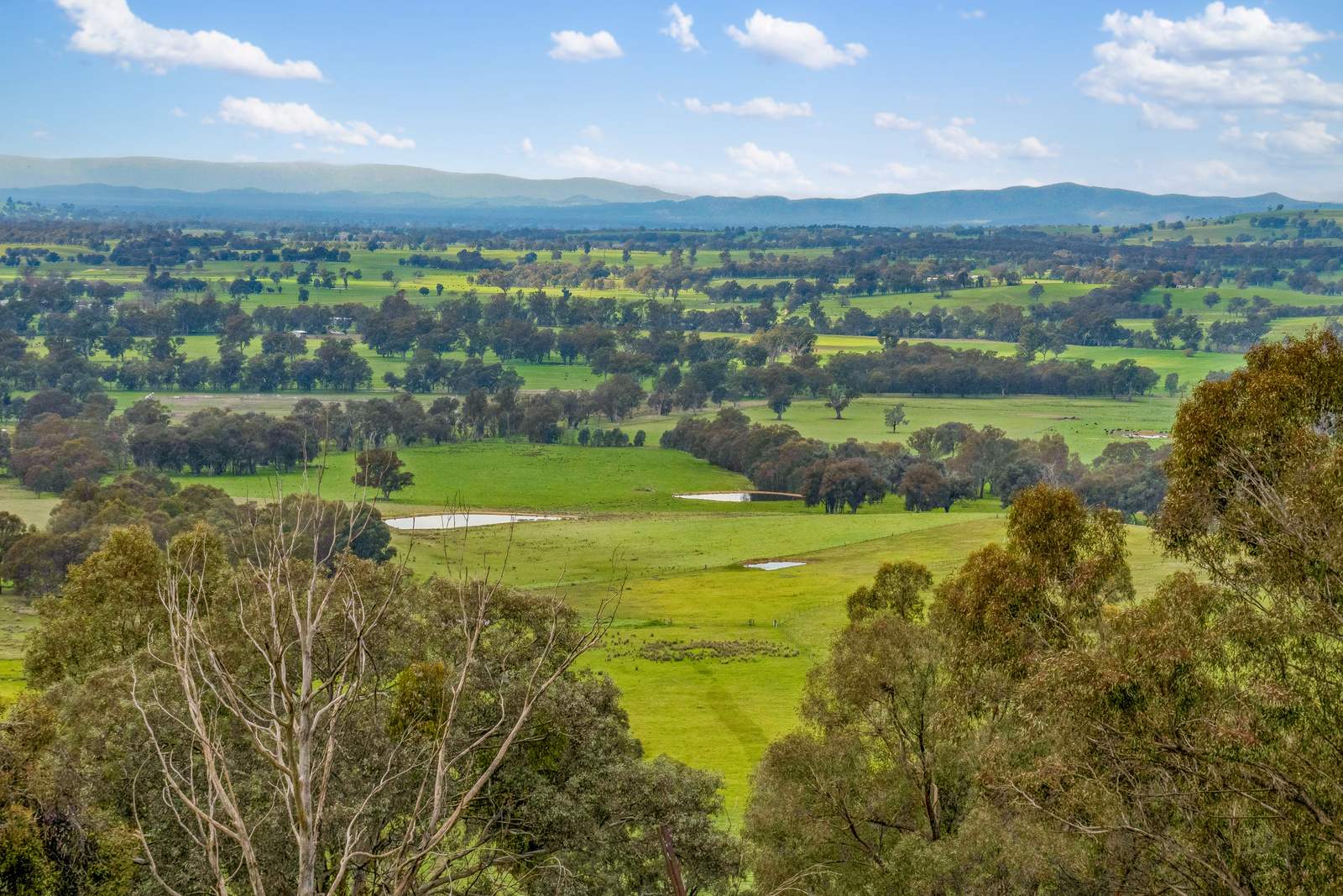 817 Upper Lurg Road, Upper Lurg For Sale by Farmbuy.com - image 14