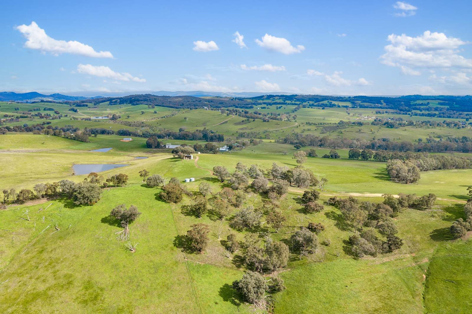 817 Upper Lurg Road, Upper Lurg For Sale by Farmbuy.com - image 31