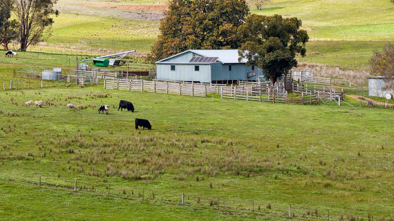 817 Upper Lurg Road, Upper Lurg For Sale by Farmbuy.com - image 5